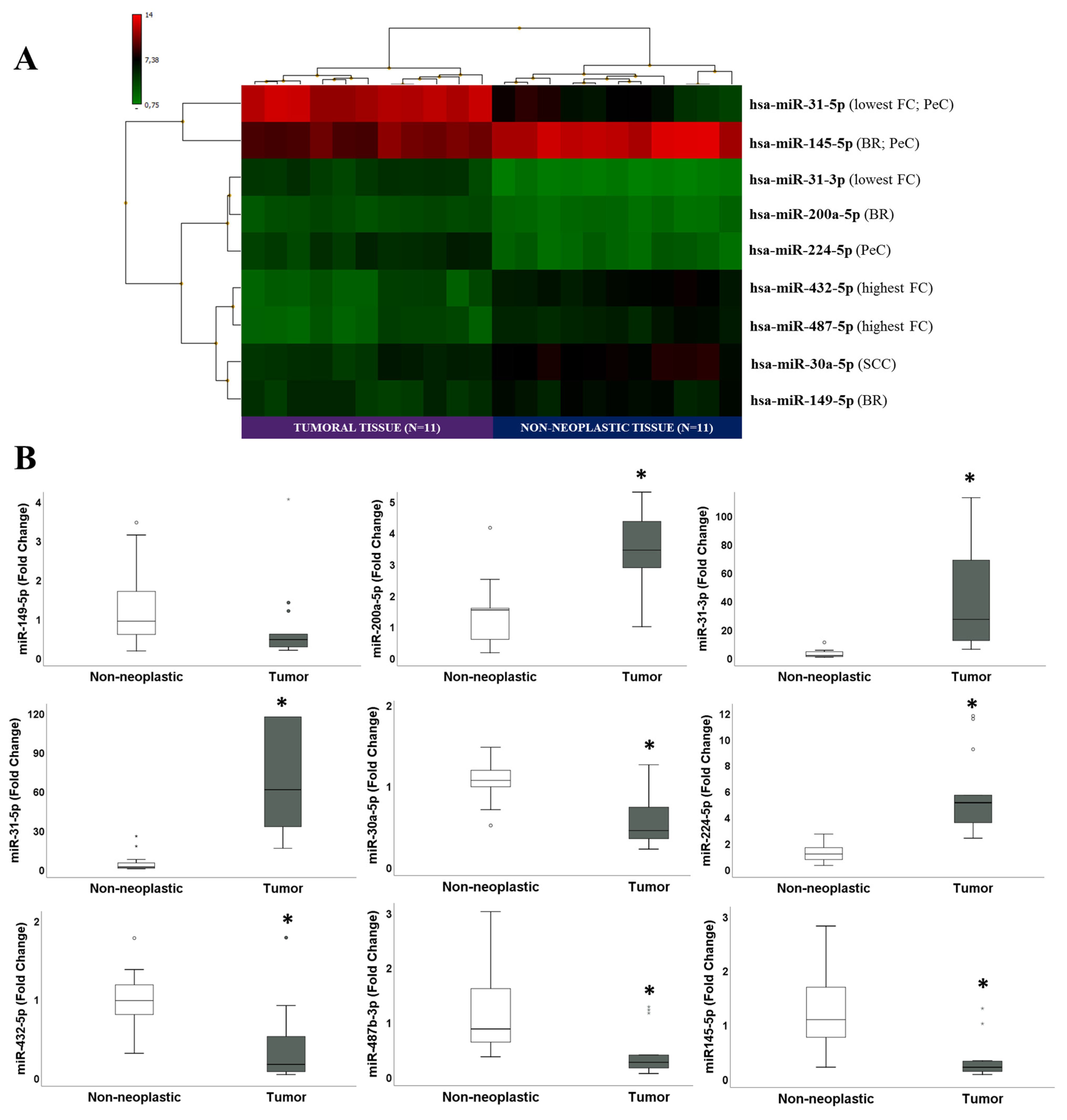Cancers 13 04745 g001