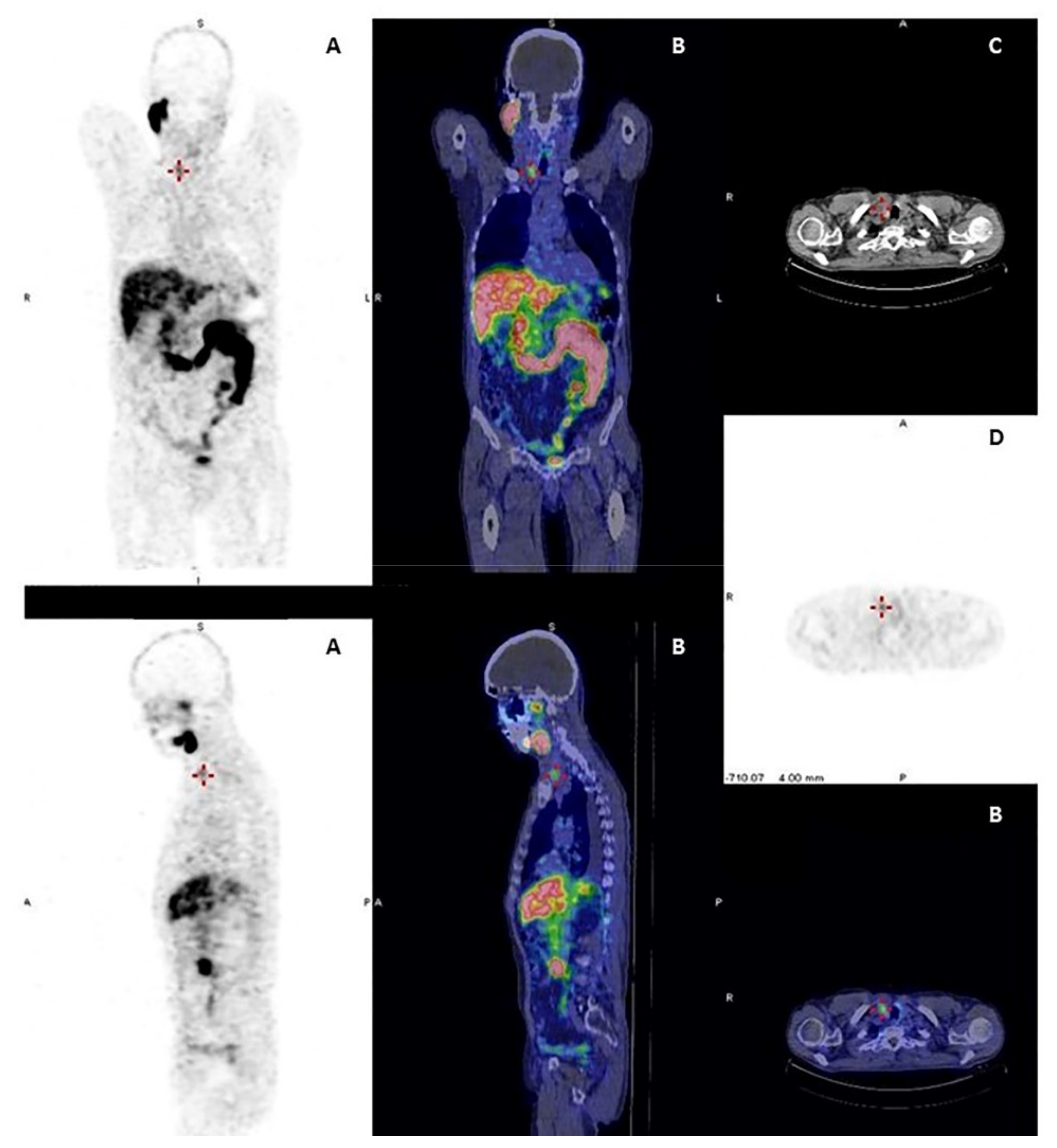 Cancers 13 04748 g003