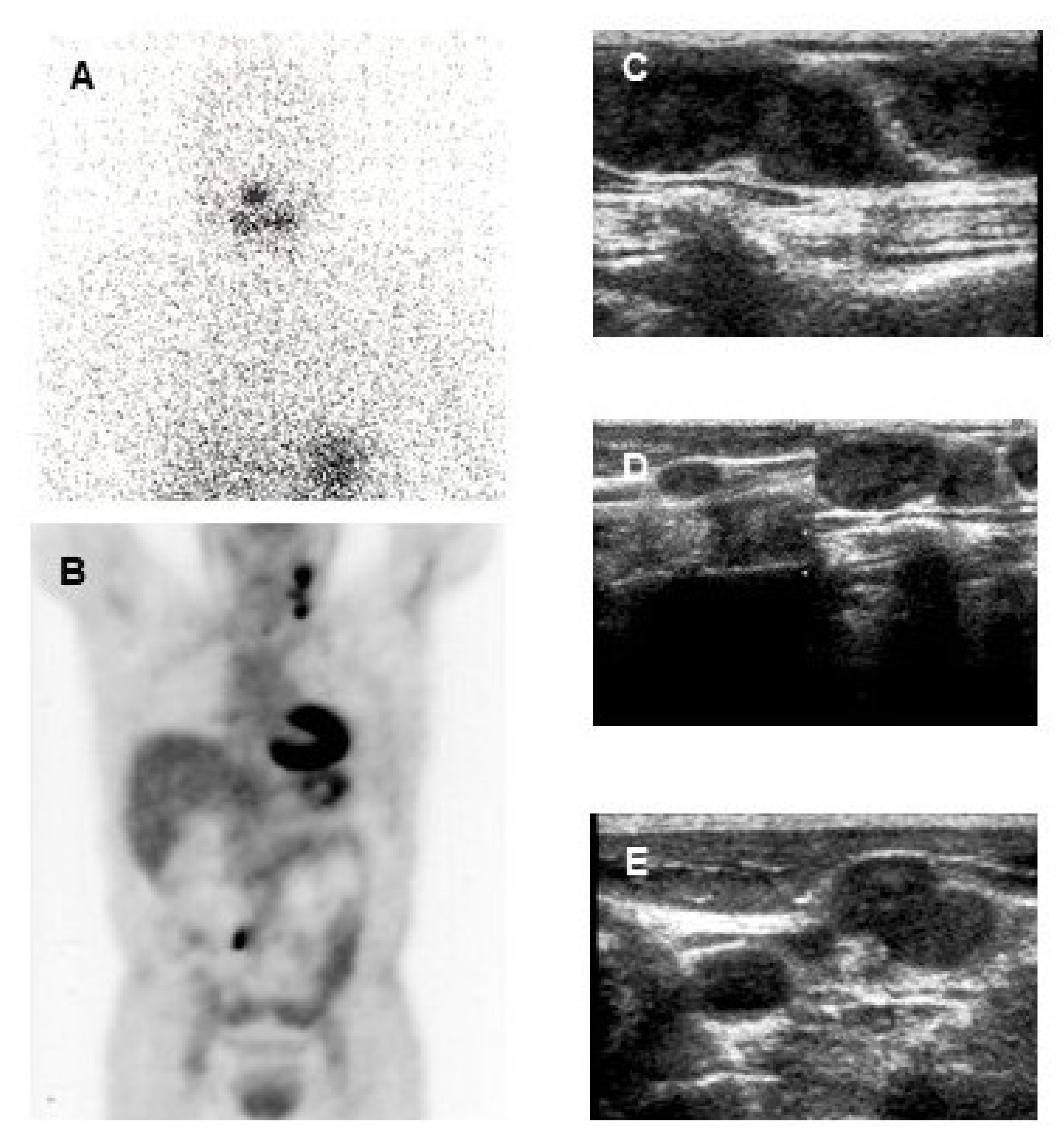 Cancers 13 04748 g005