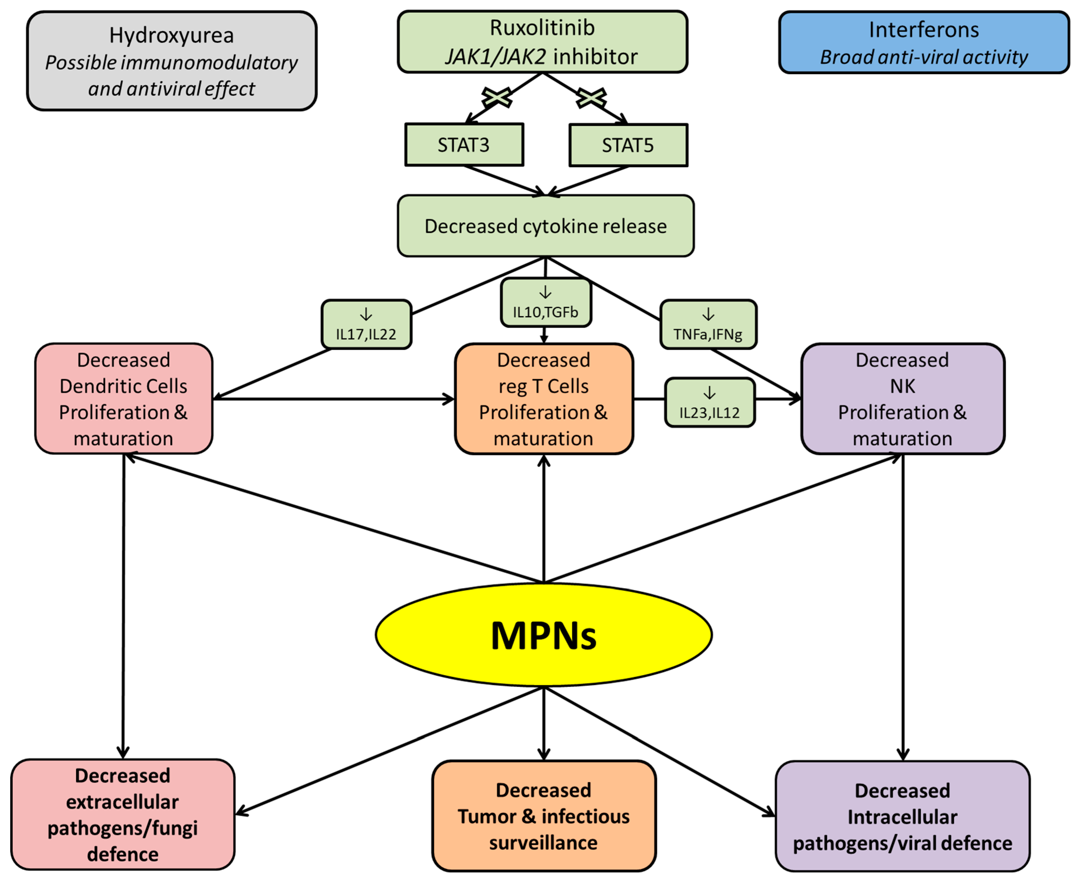 Cancers 13 04750 g001