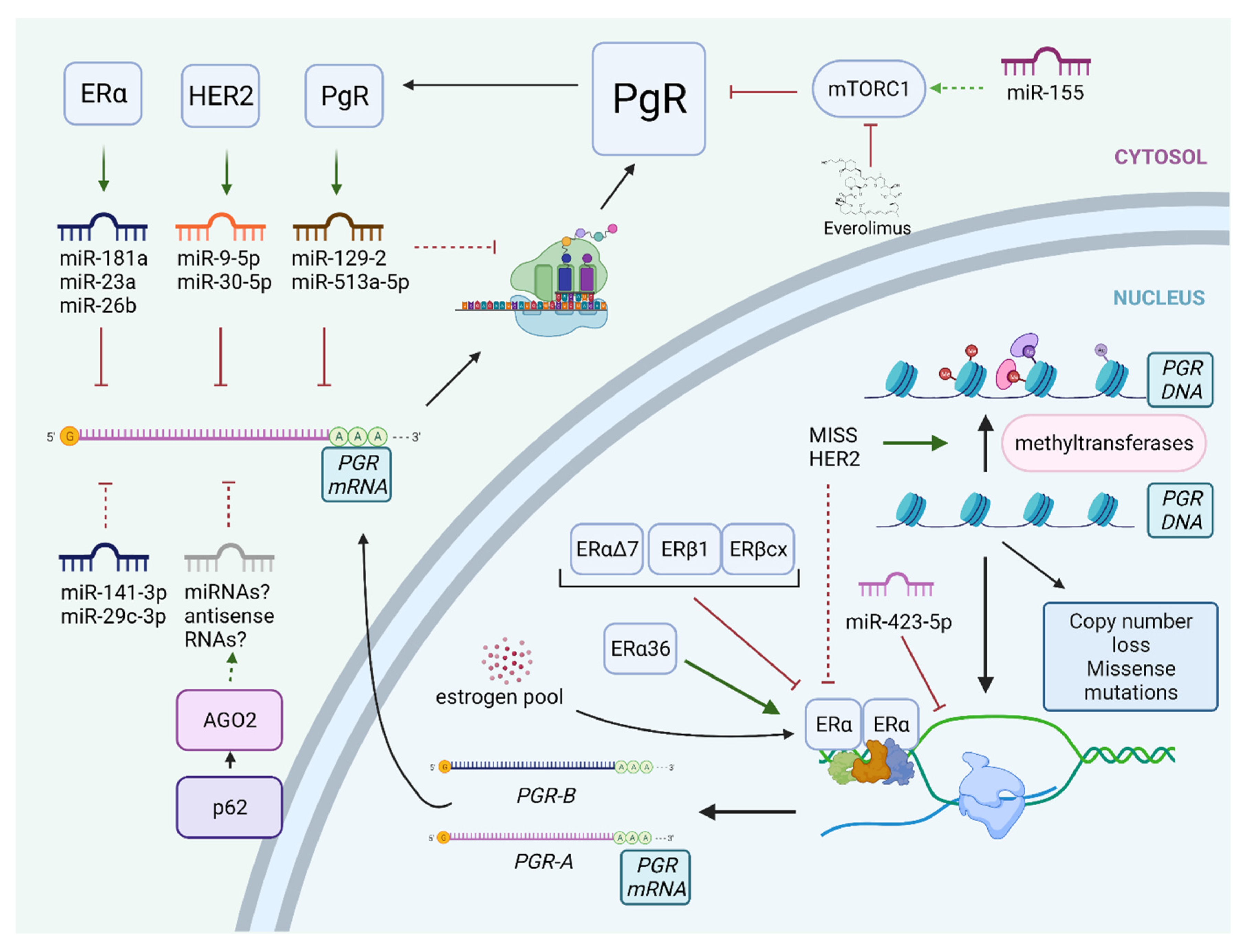Cancers 13 04755 g002