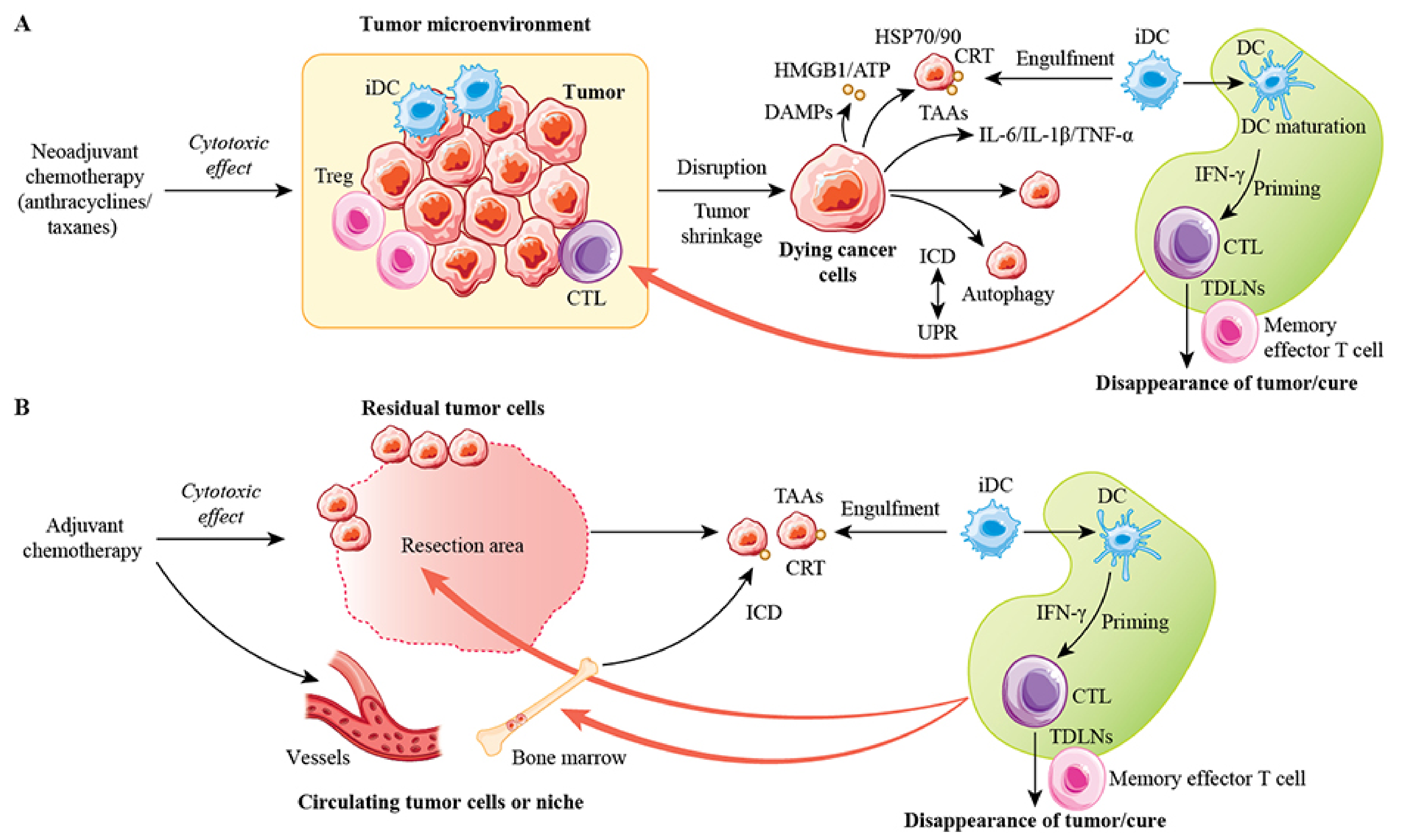 Cancers 13 04756 g004