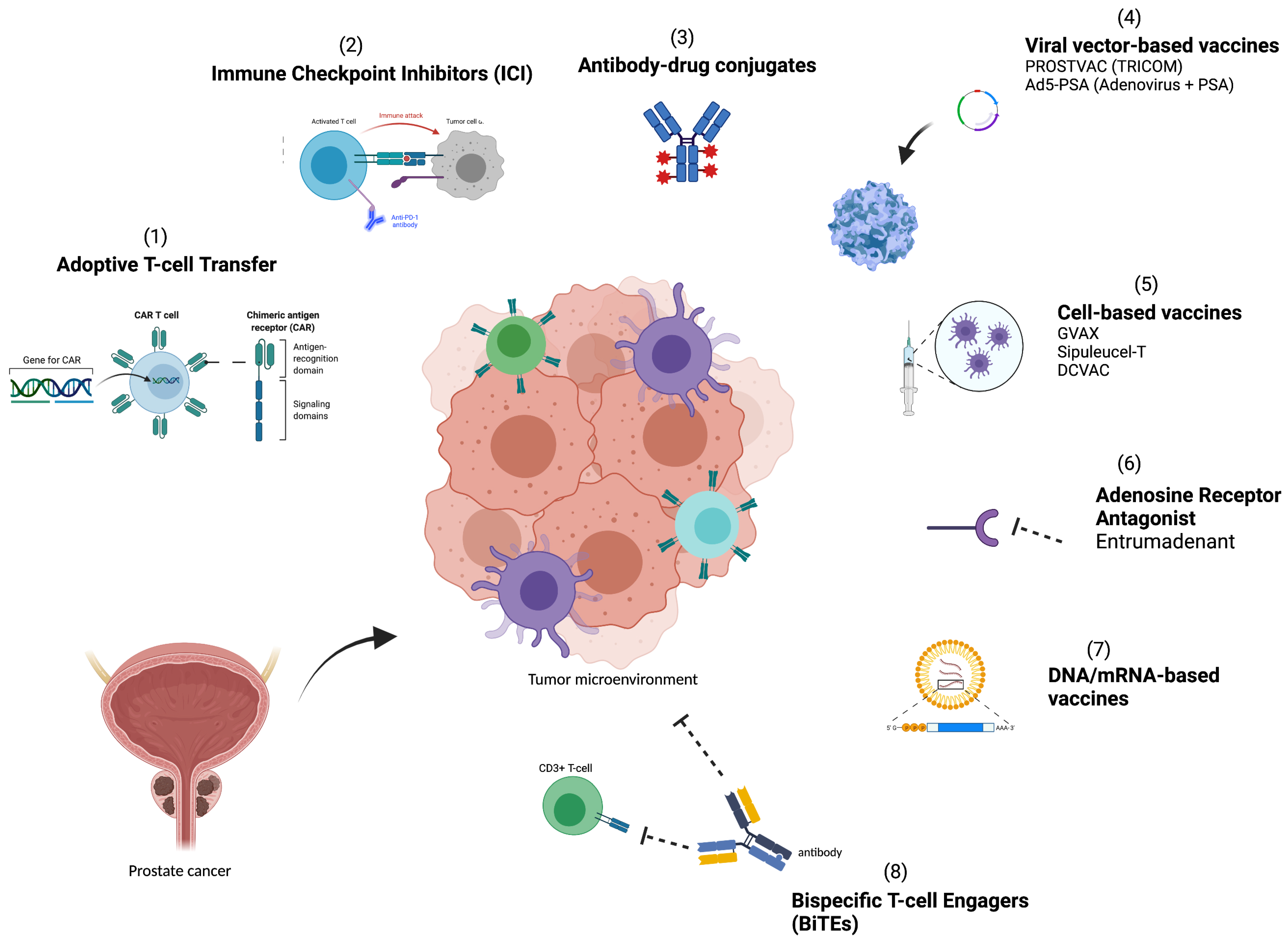 Cancers 13 04757 g001