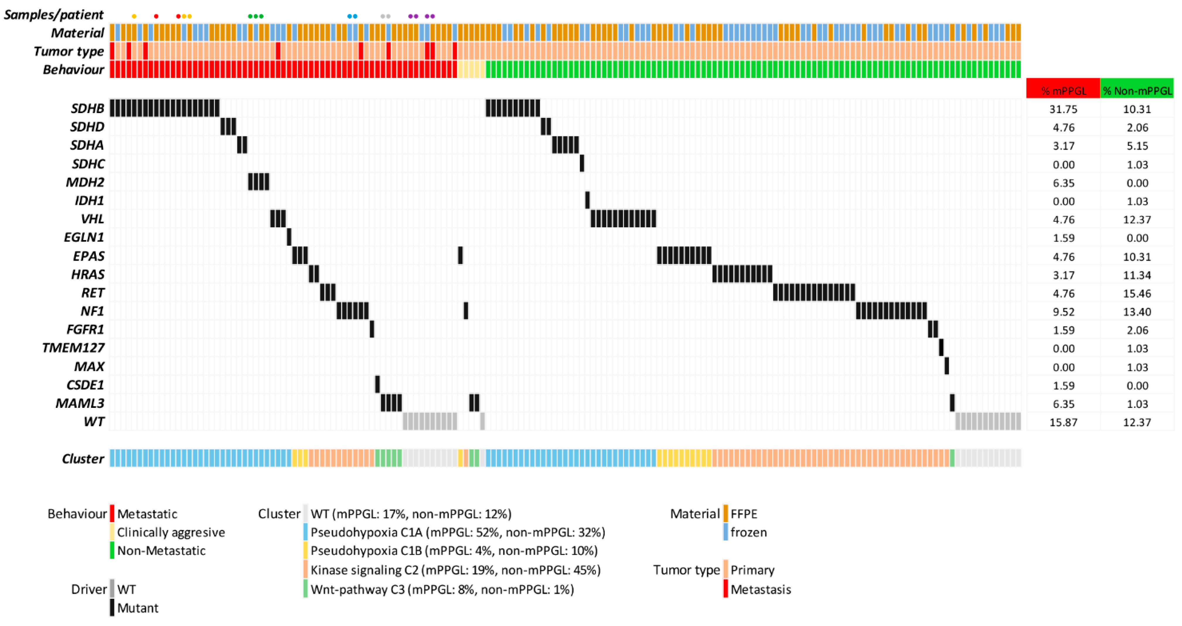 Cancers 13 04758 g001