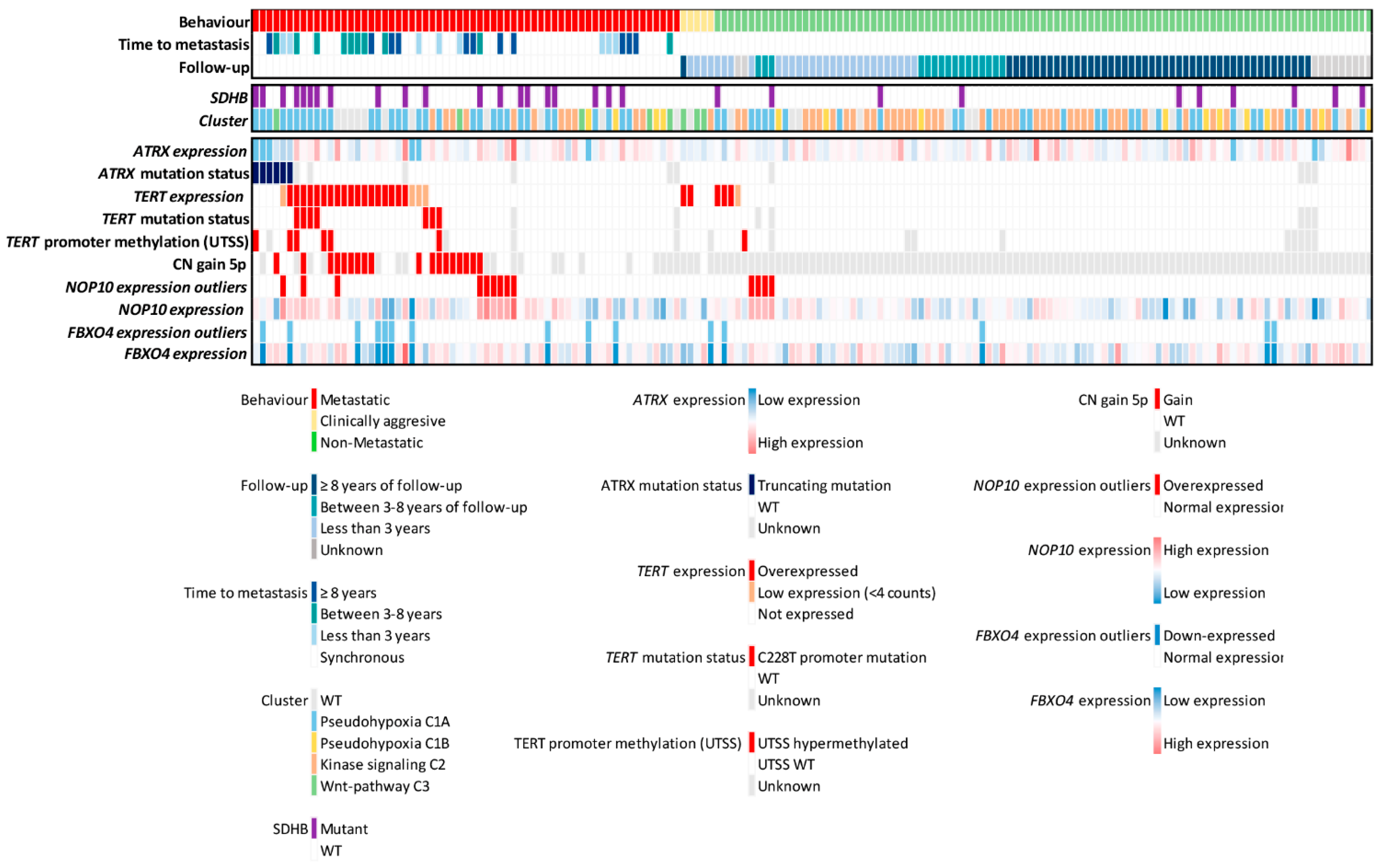 Cancers 13 04758 g002
