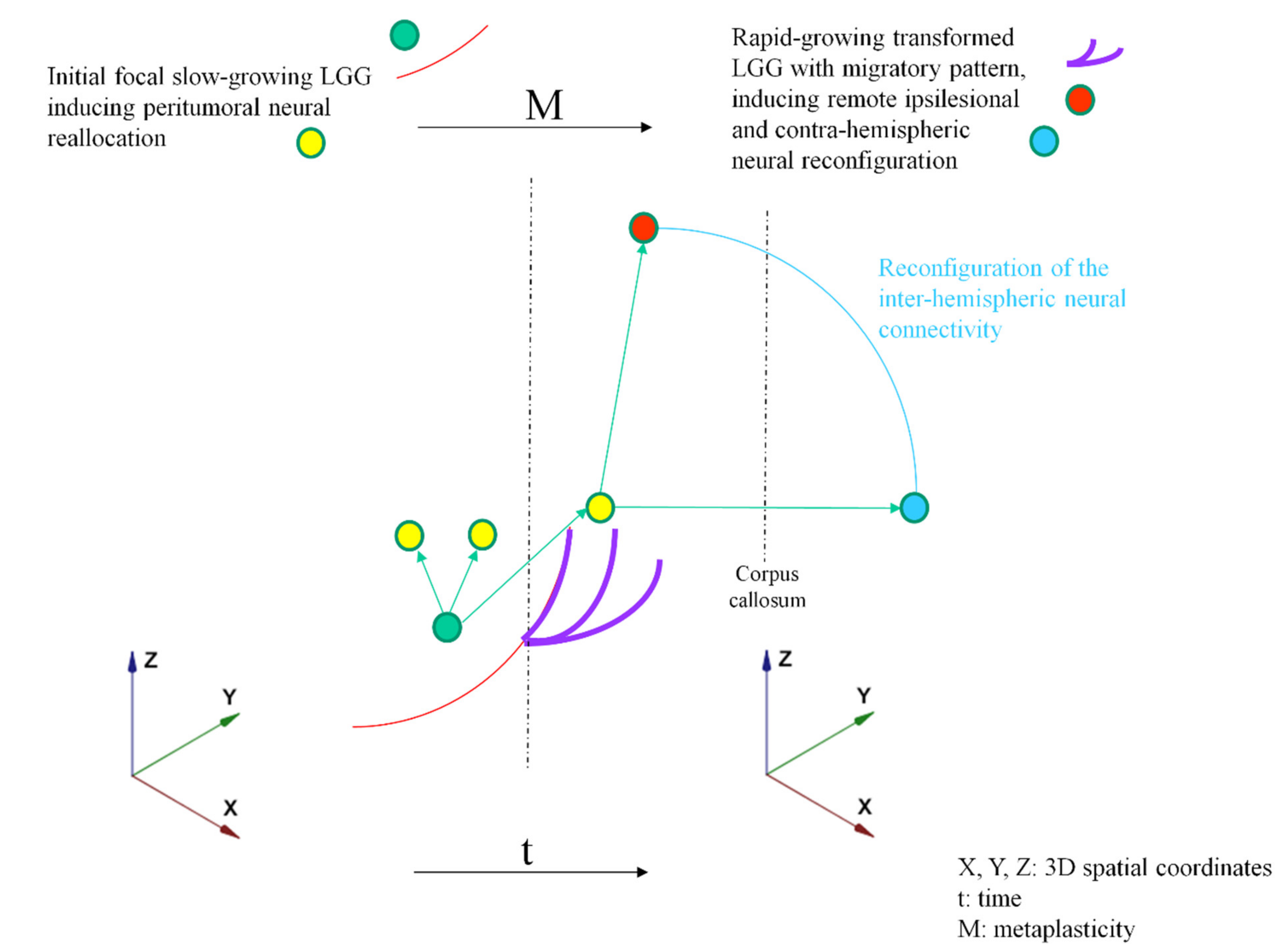 Cancers 13 04759 g001