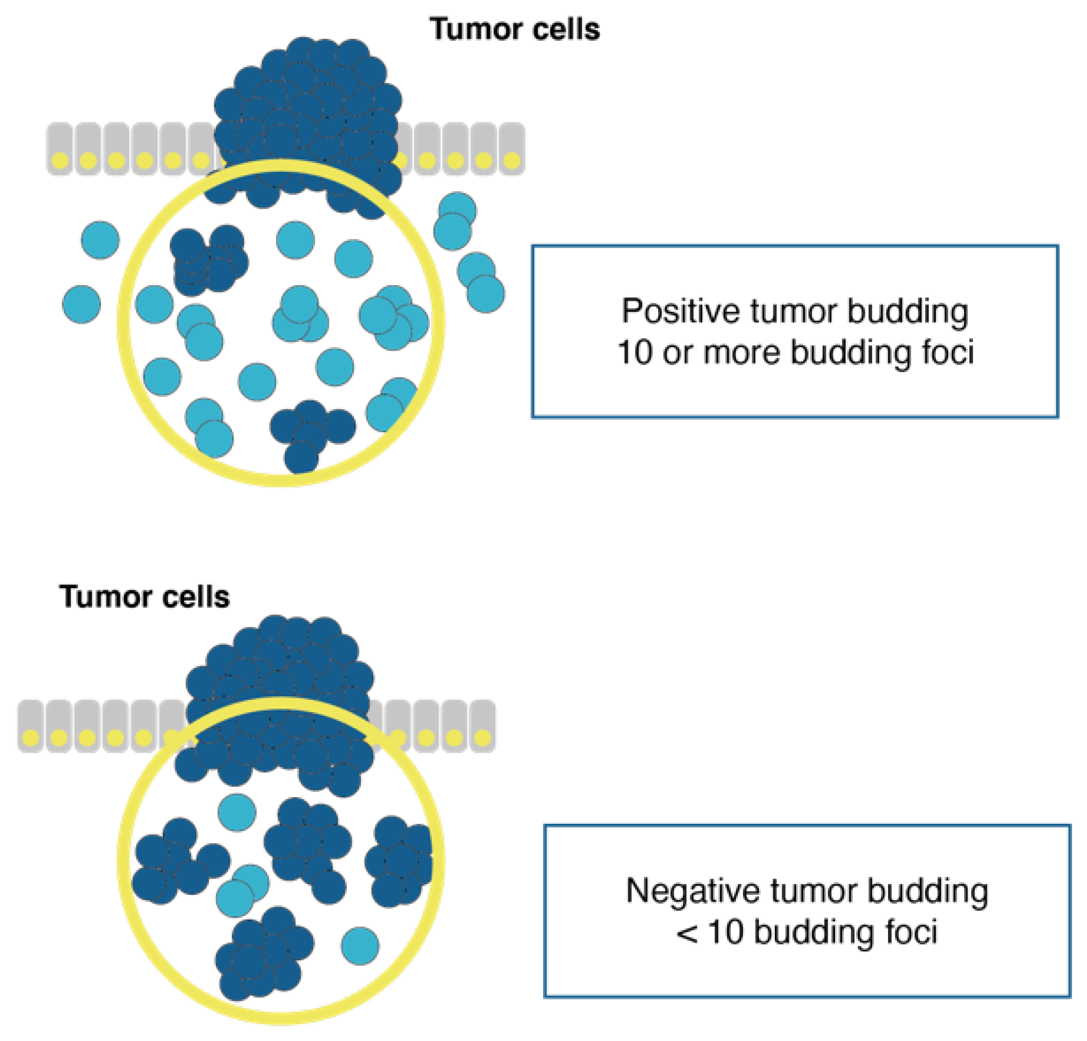 Cancers 13 04762 g002