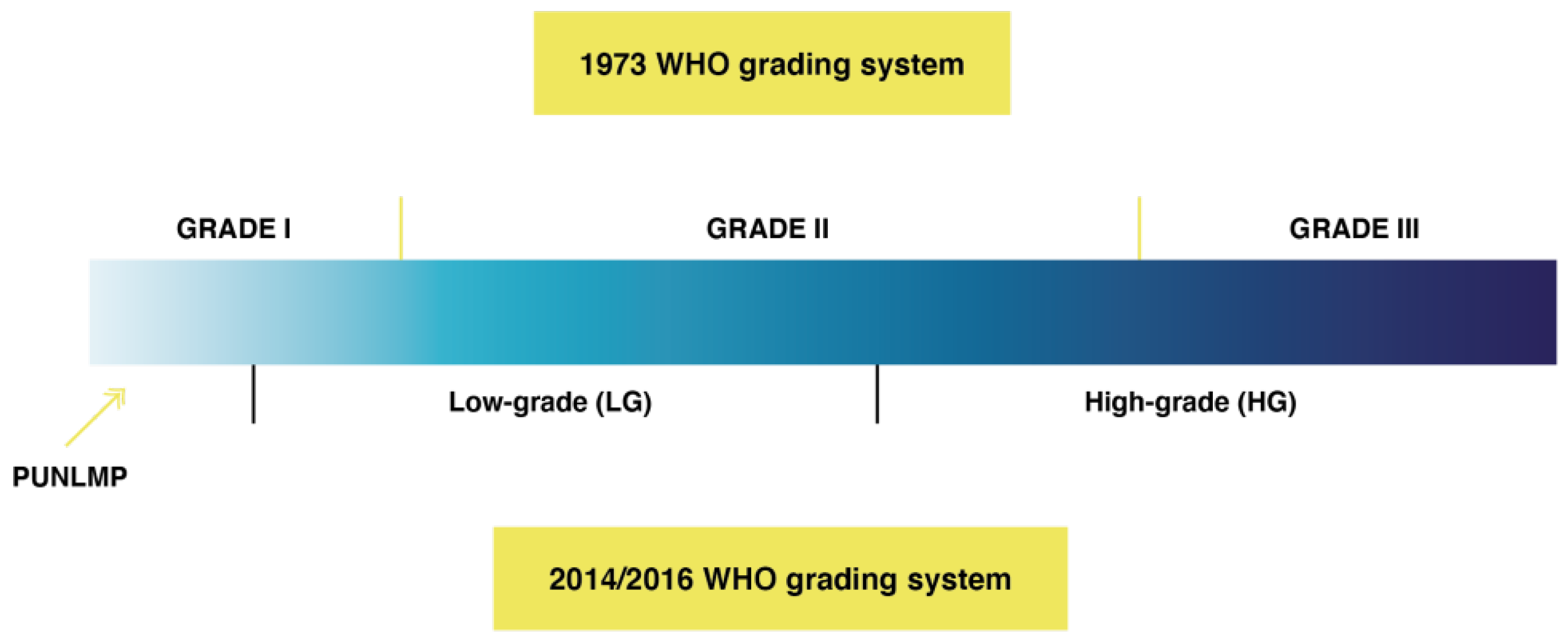 Cancers 13 04762 g003