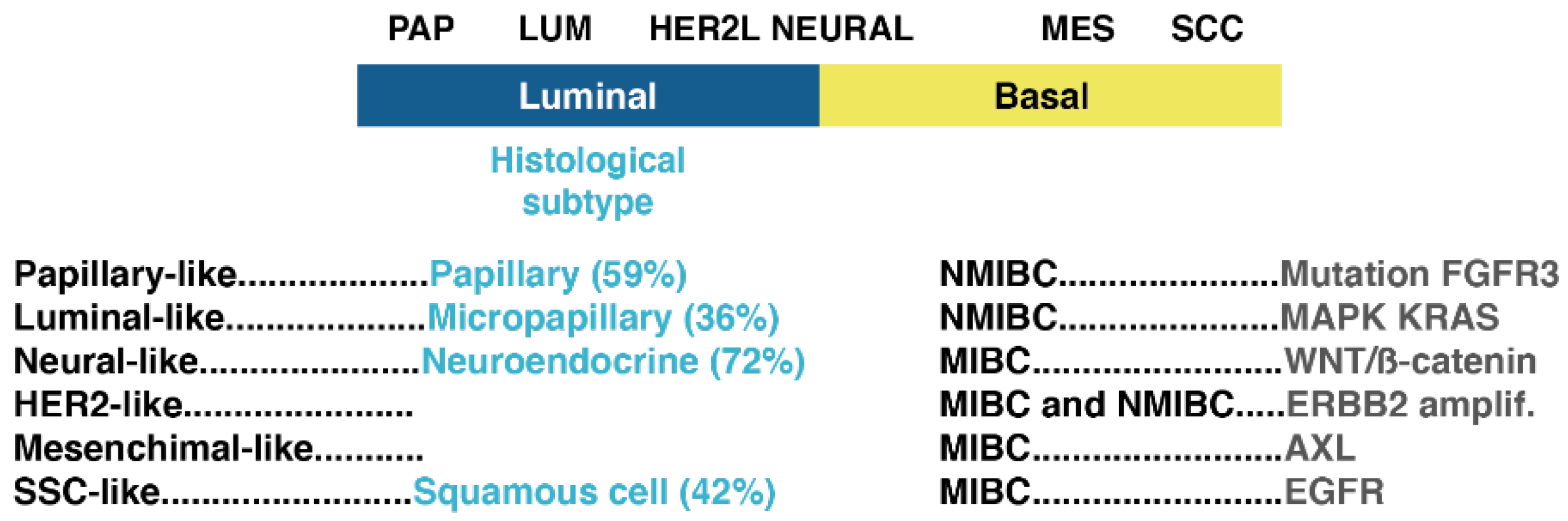 Cancers 13 04762 g004