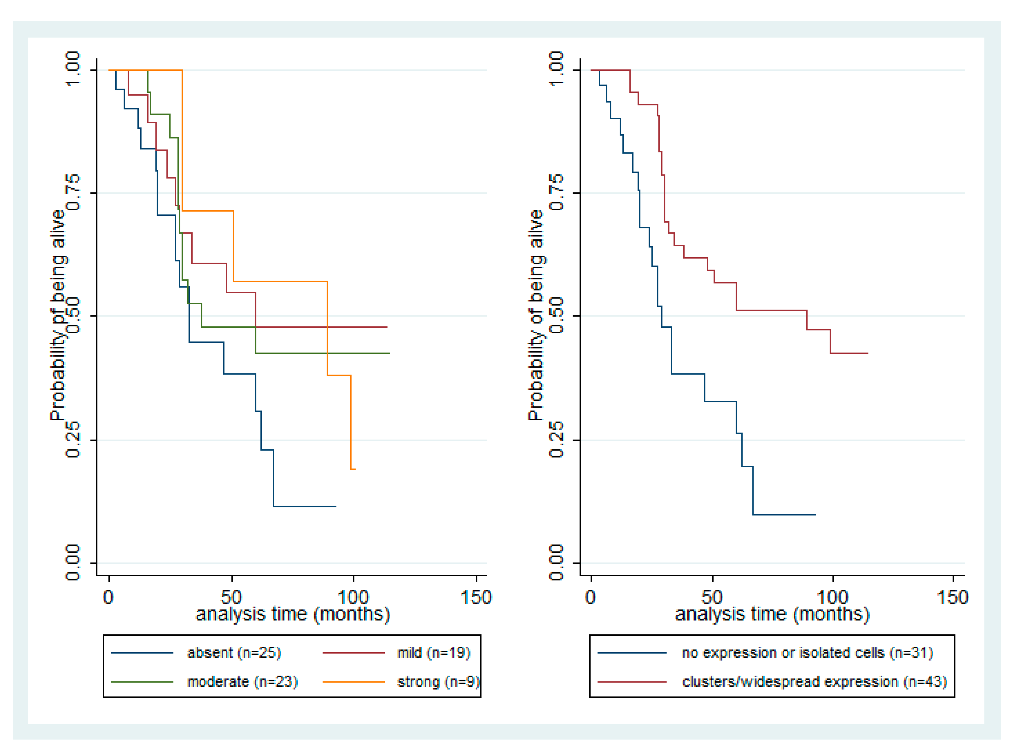 Cancers 13 04763 g004