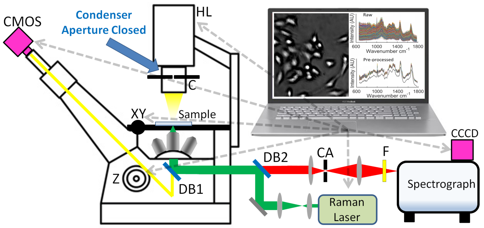 Cancers 13 04767 g003
