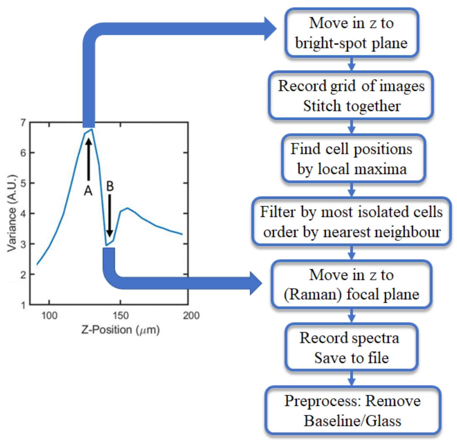 Cancers 13 04767 g004