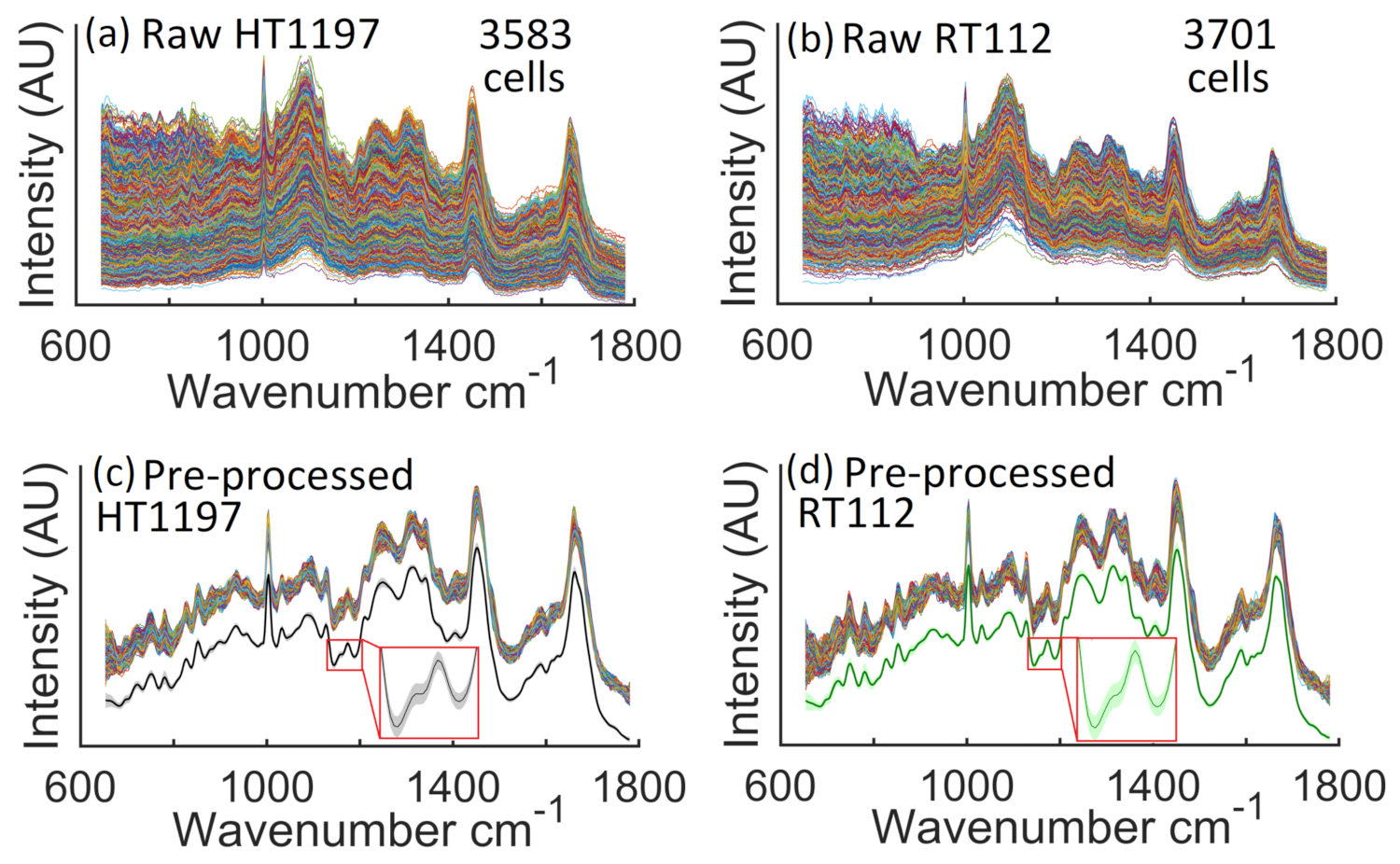 Cancers 13 04767 g005