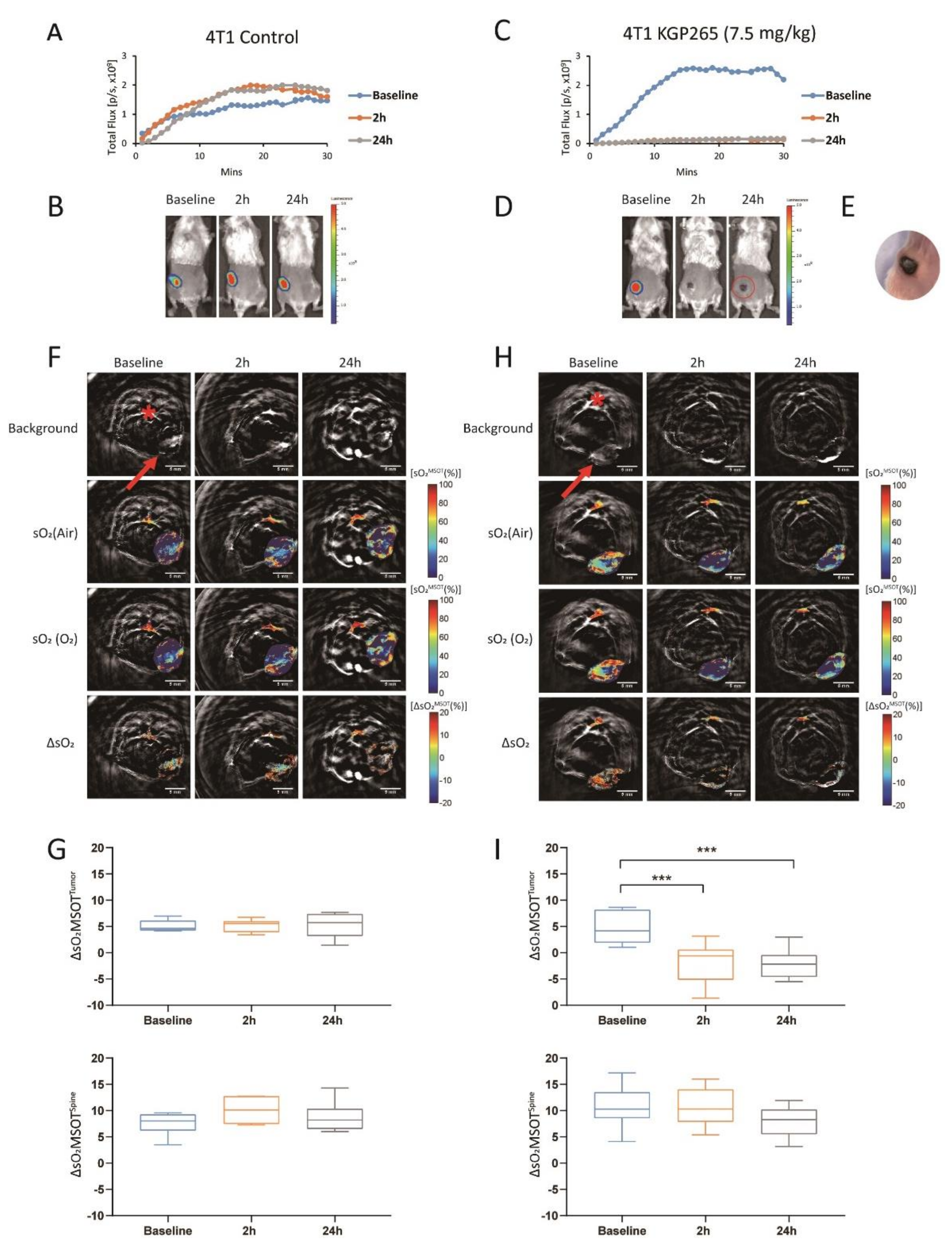 Cancers 13 04769 g004
