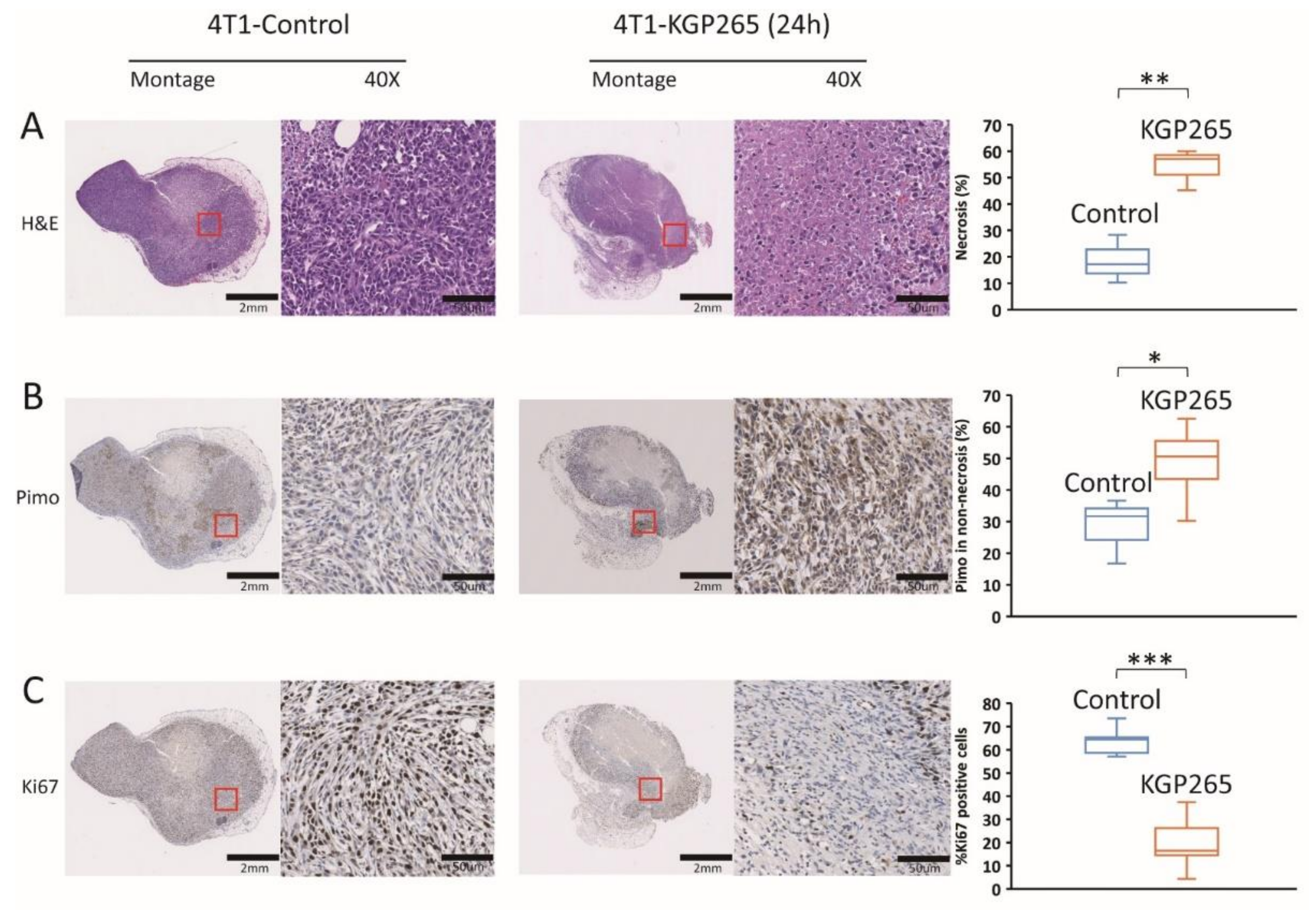 Cancers 13 04769 g007