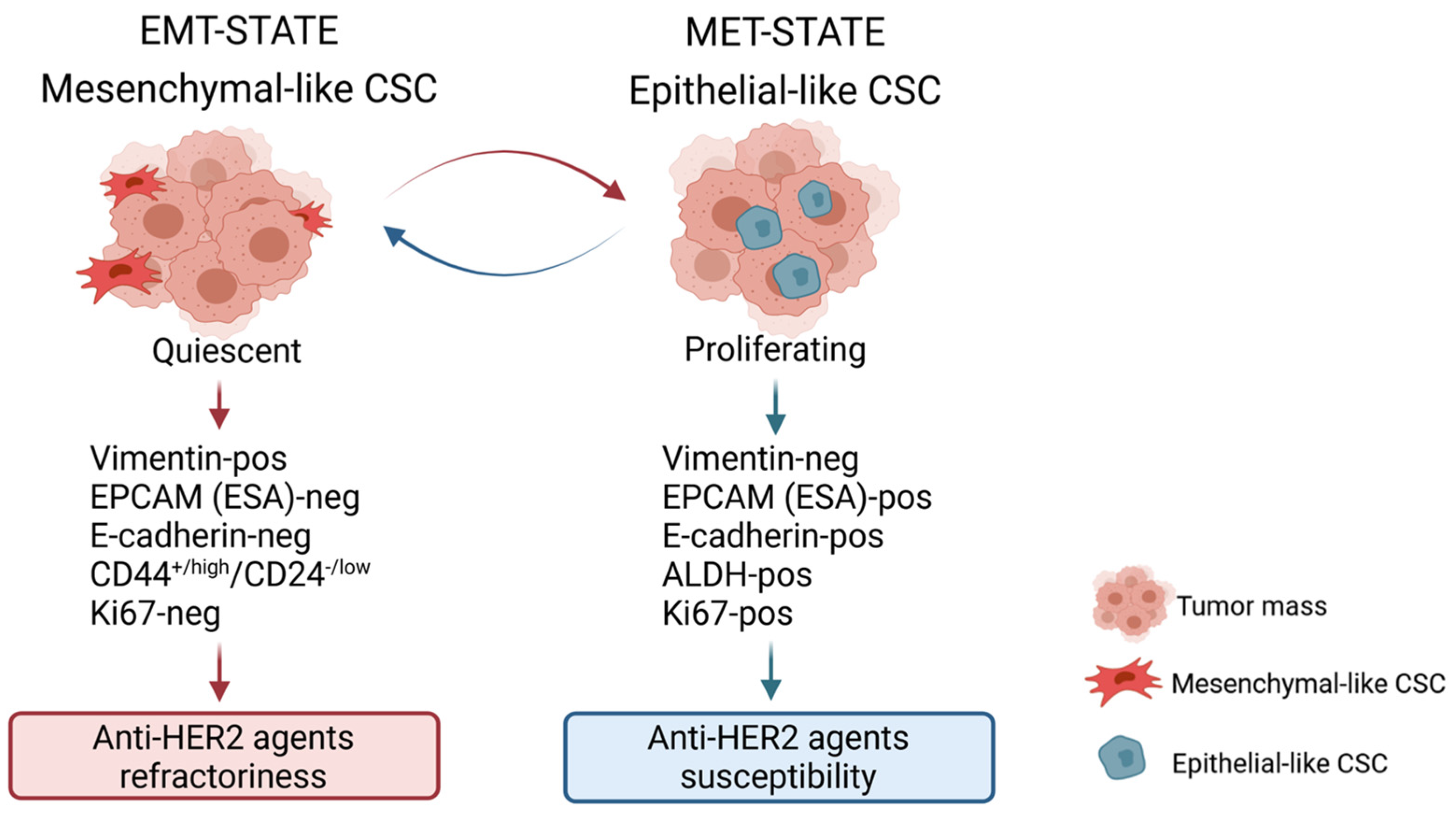 Cancers 13 04778 g001