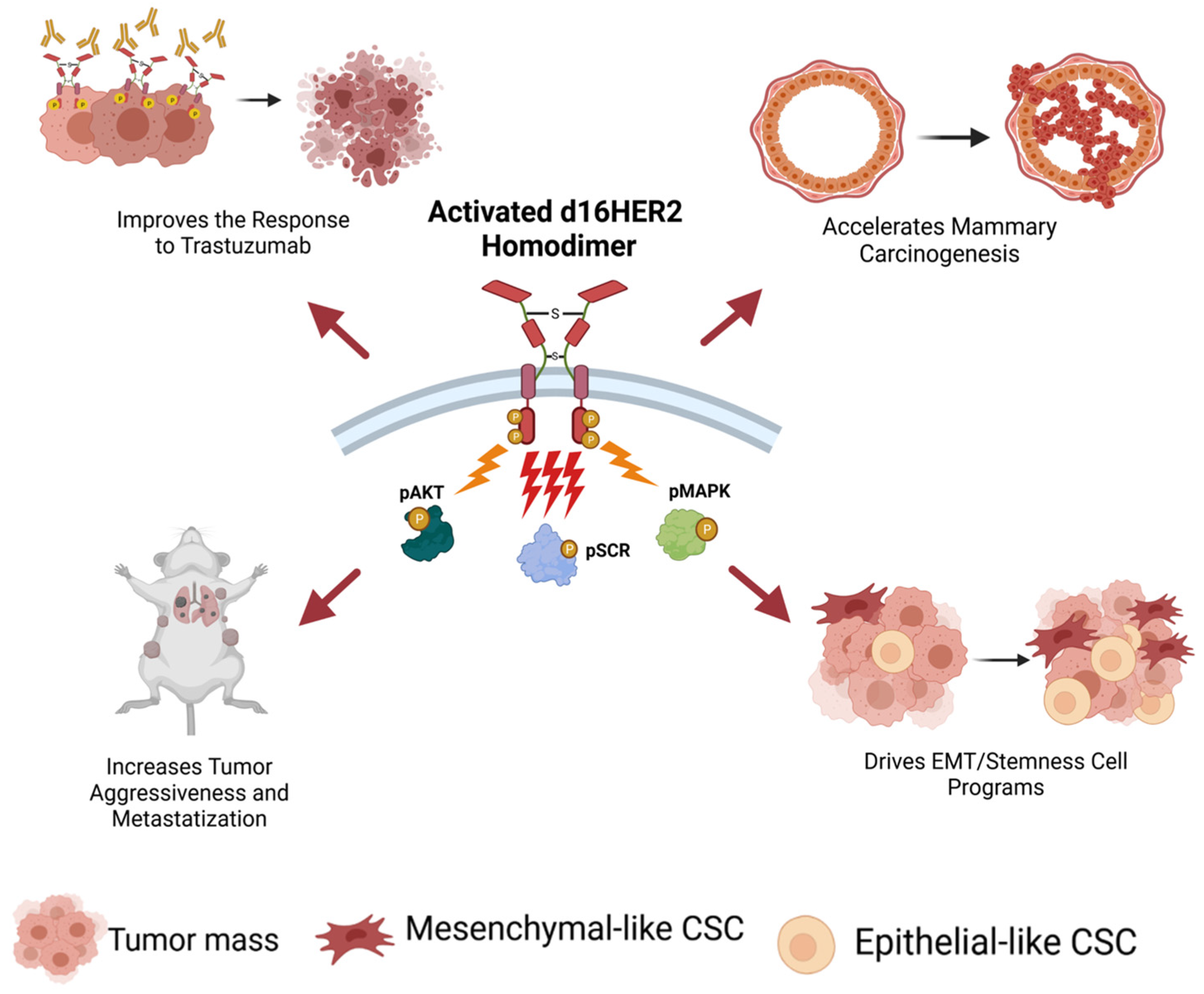 Cancers 13 04778 g003