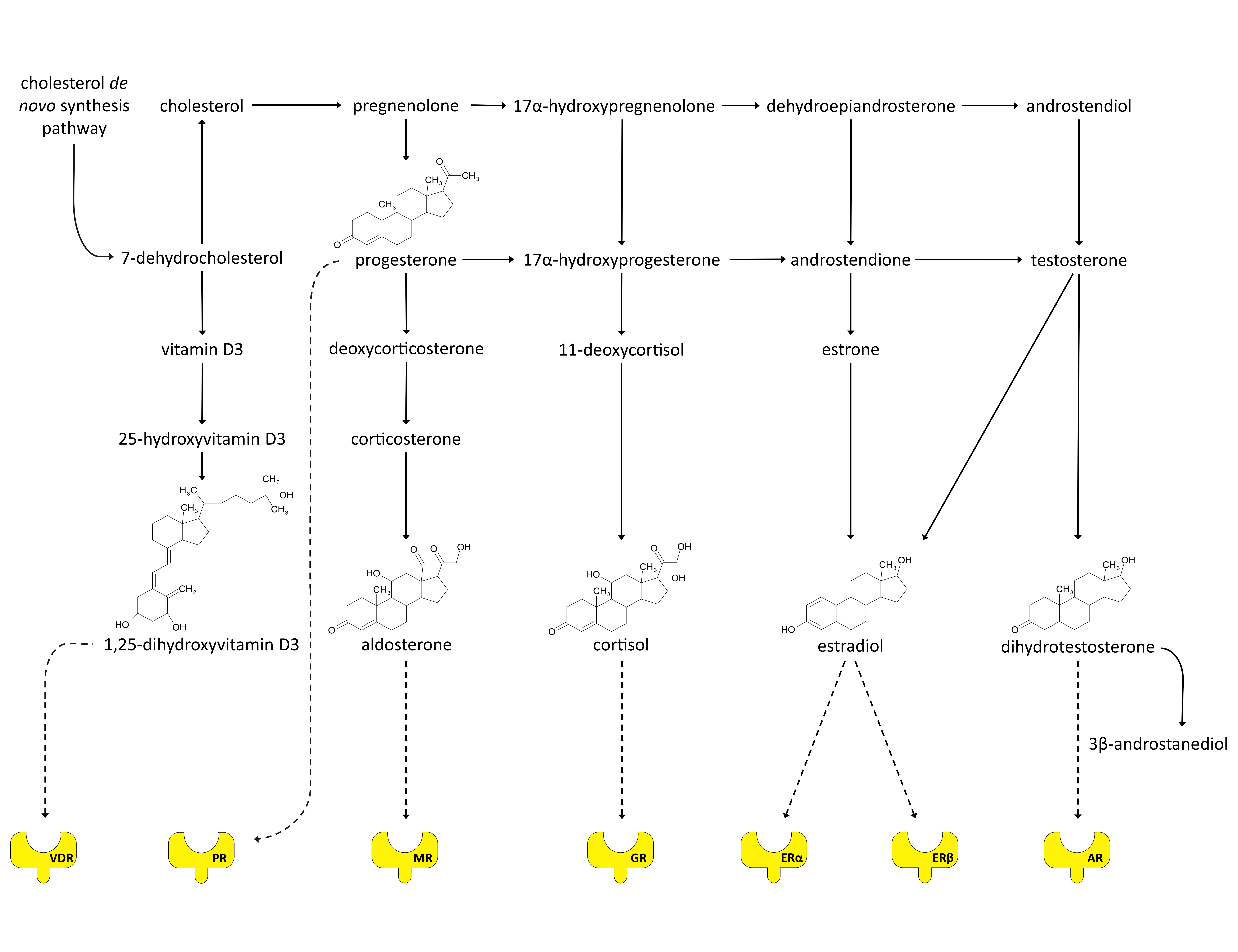 Cancers 13 04779 g001