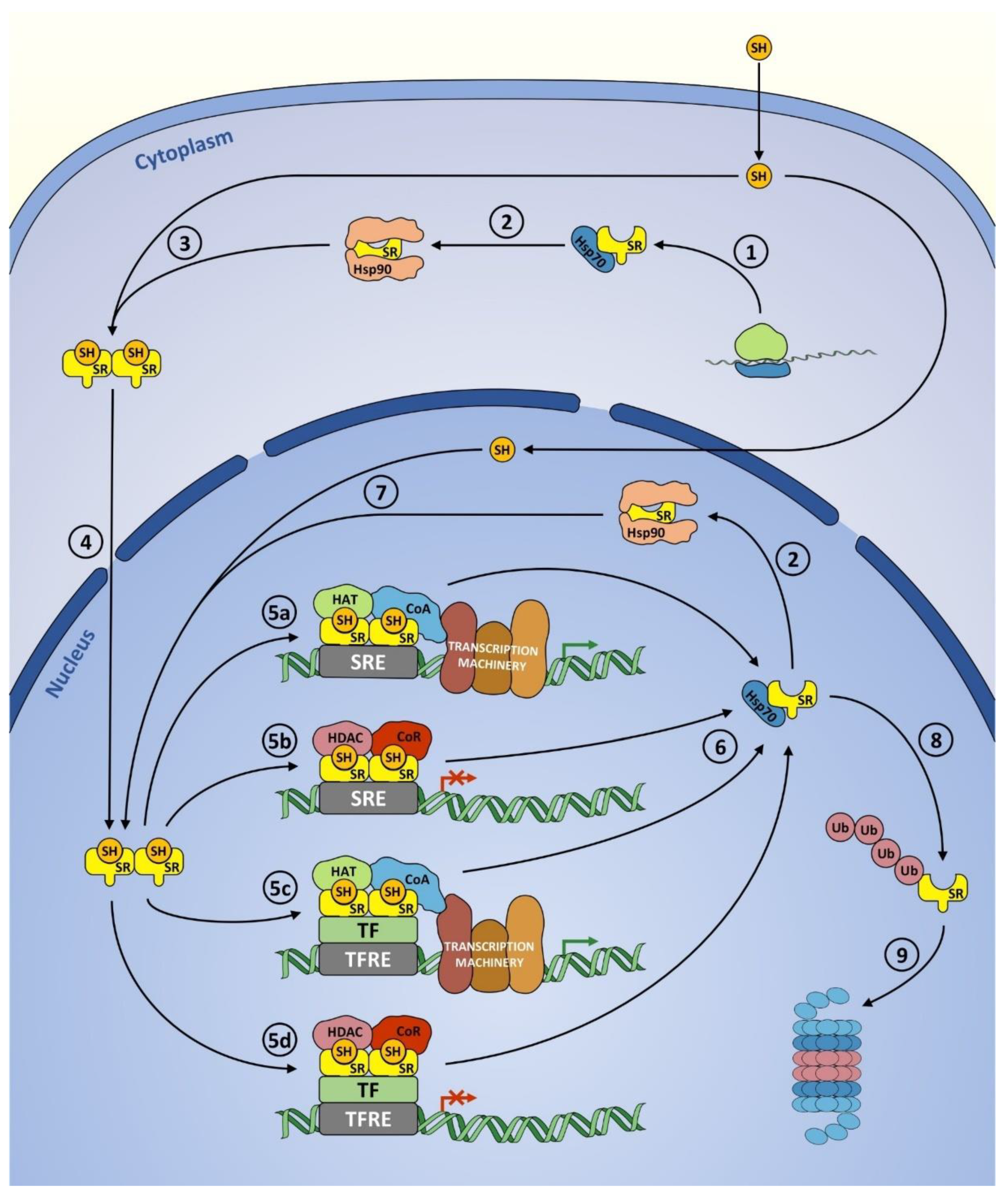 Cancers 13 04779 g003