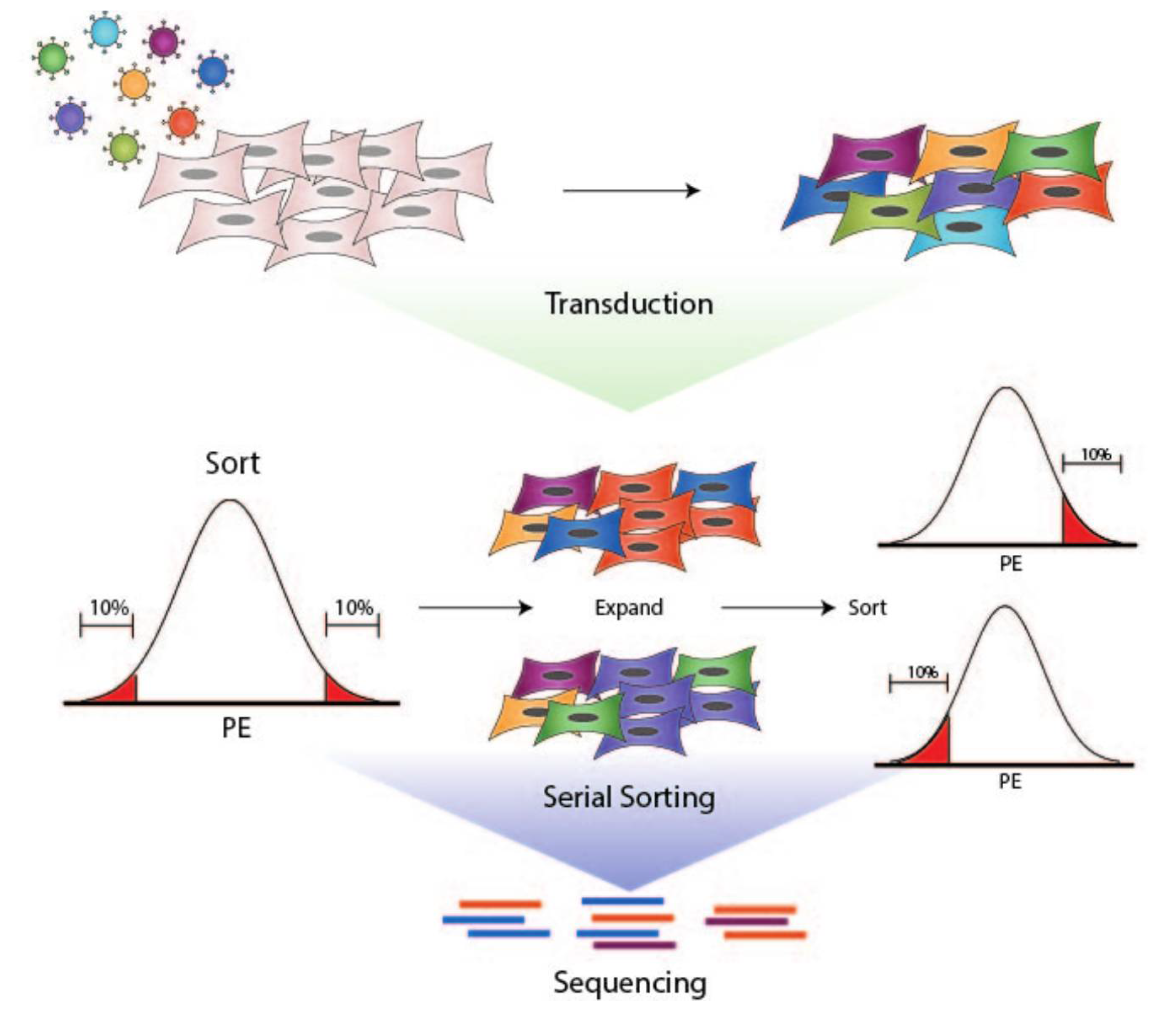 Cancers 13 04782 g001