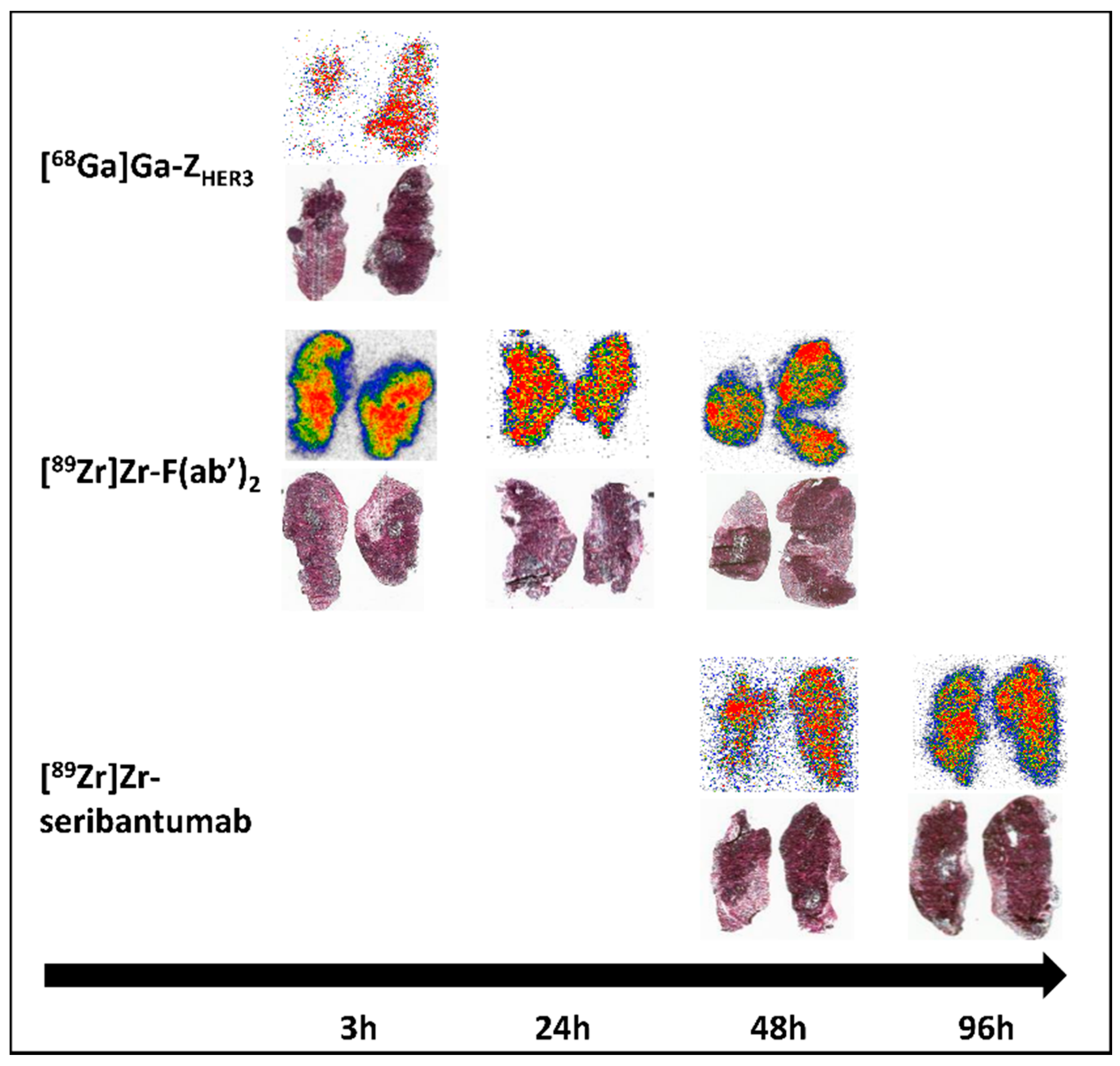 Cancers 13 04791 g006