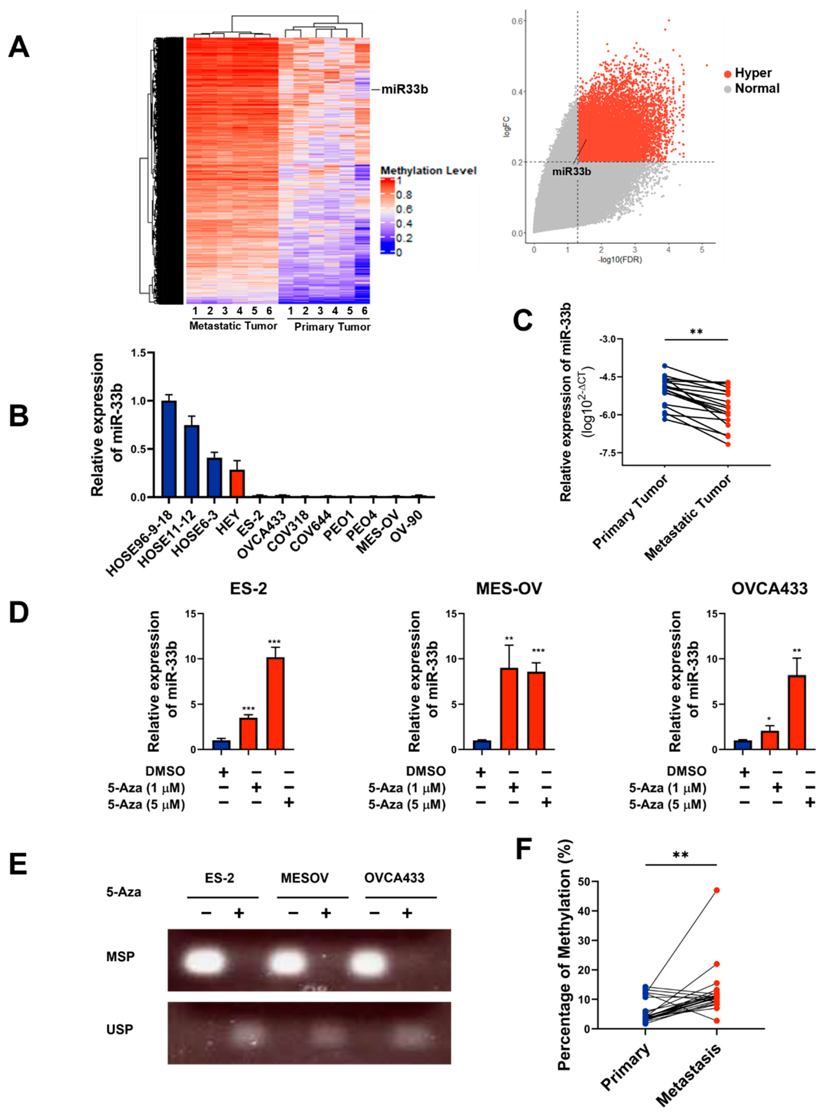 Cancers 13 04795 g001