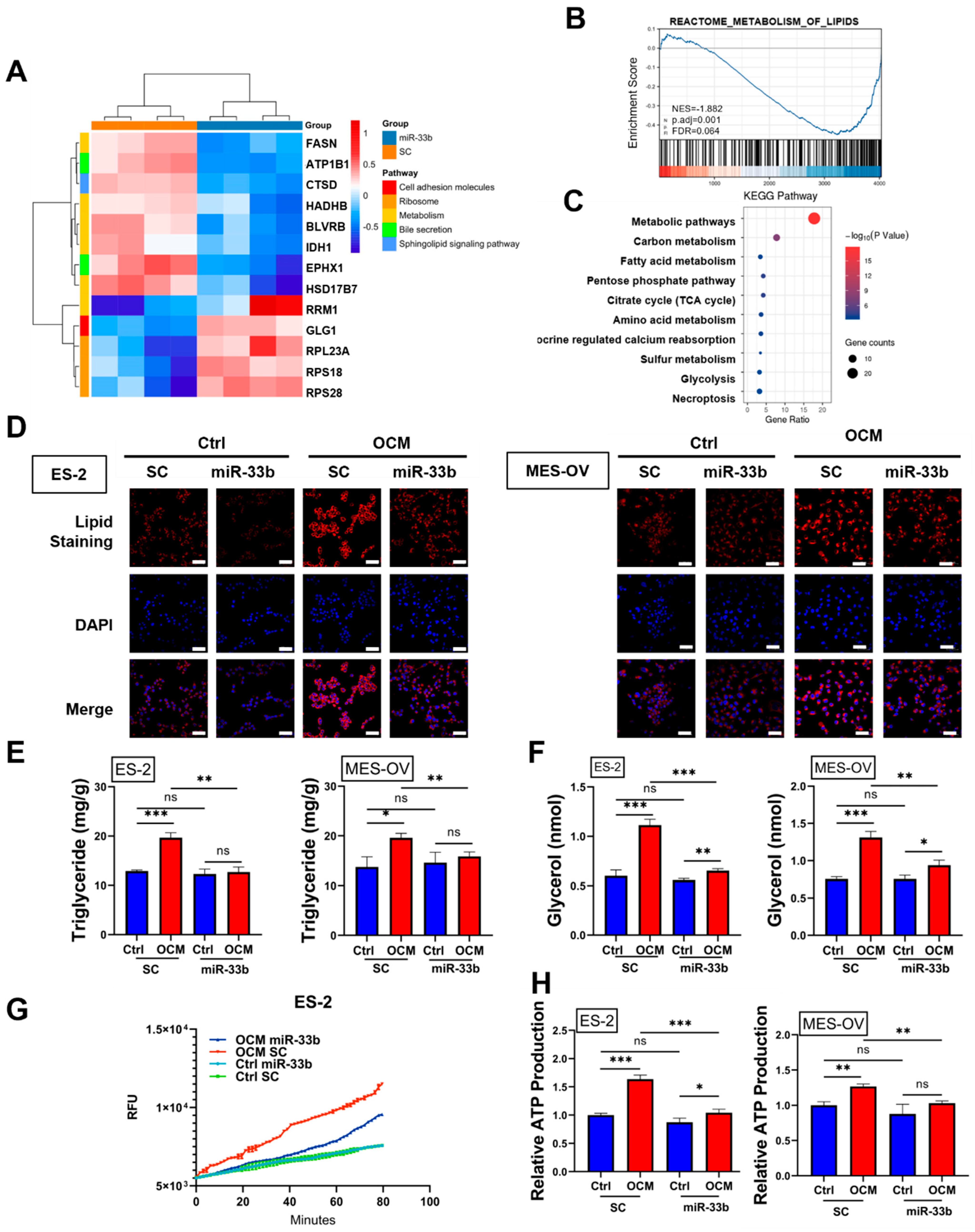Cancers 13 04795 g003
