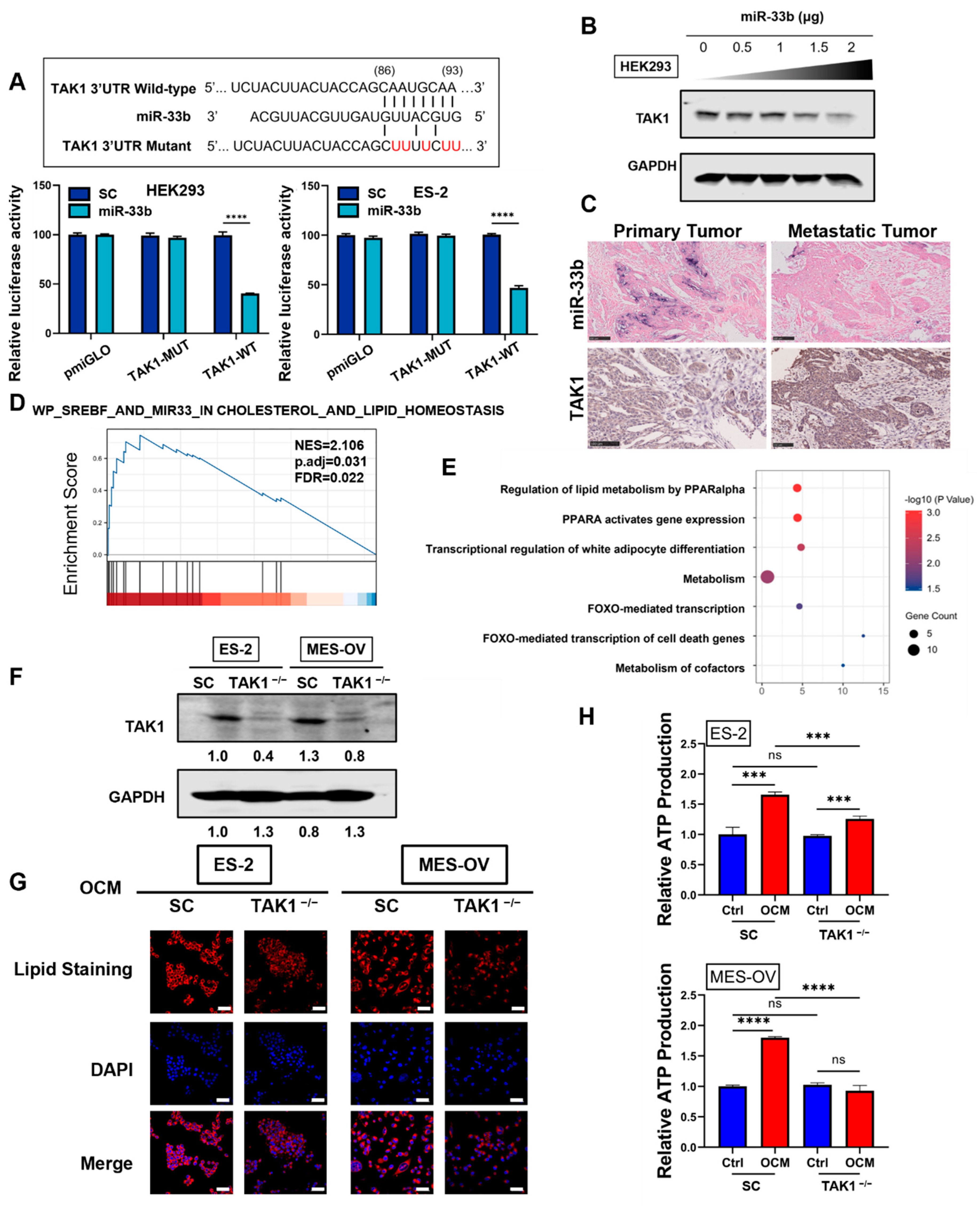 Cancers 13 04795 g004