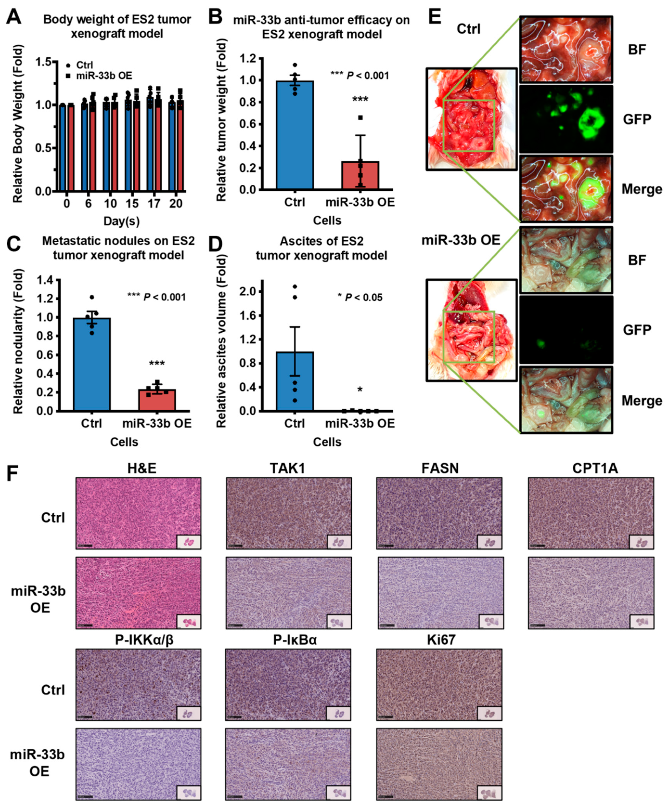 Cancers 13 04795 g006
