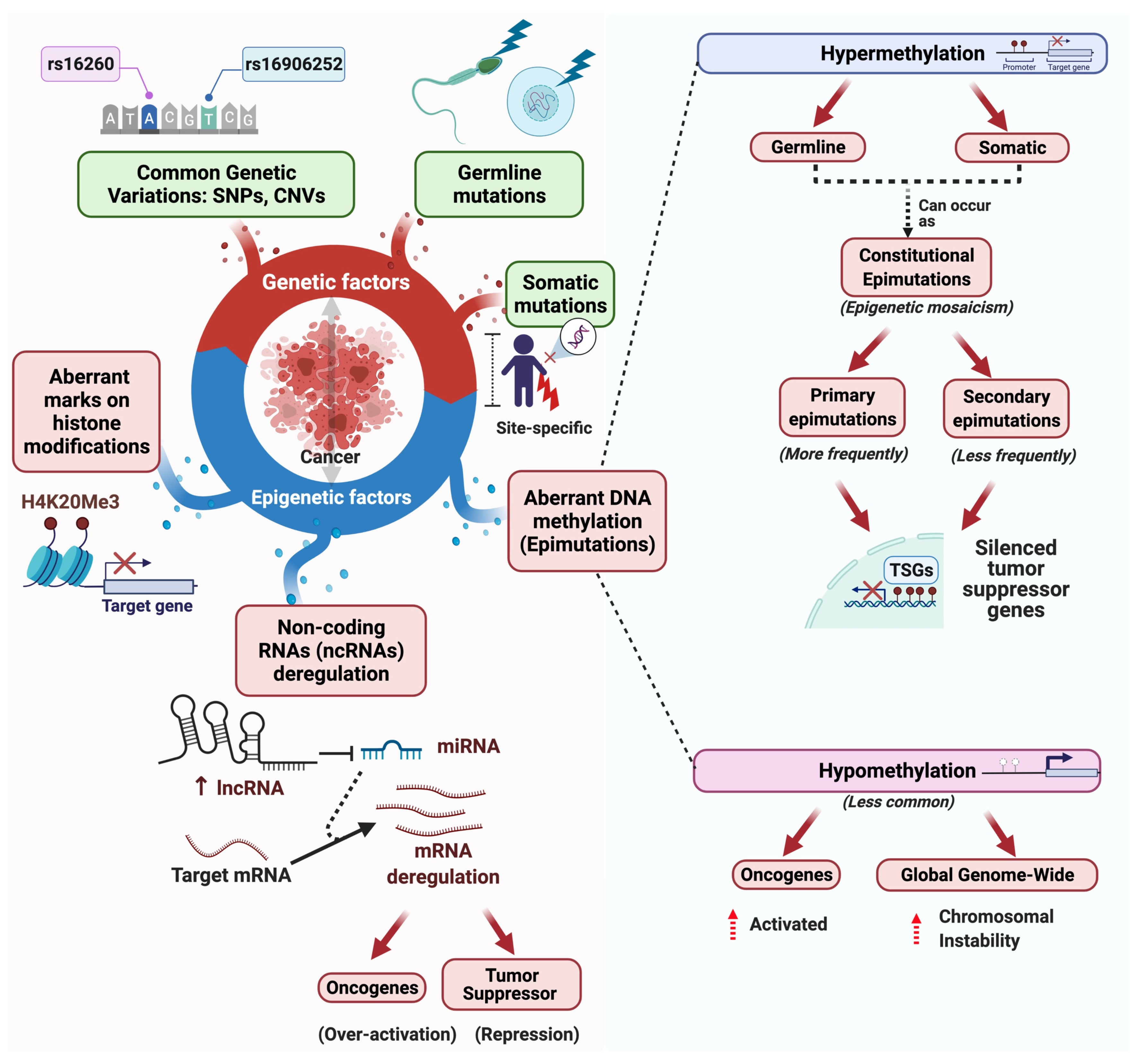 Cancers 13 04807 g001