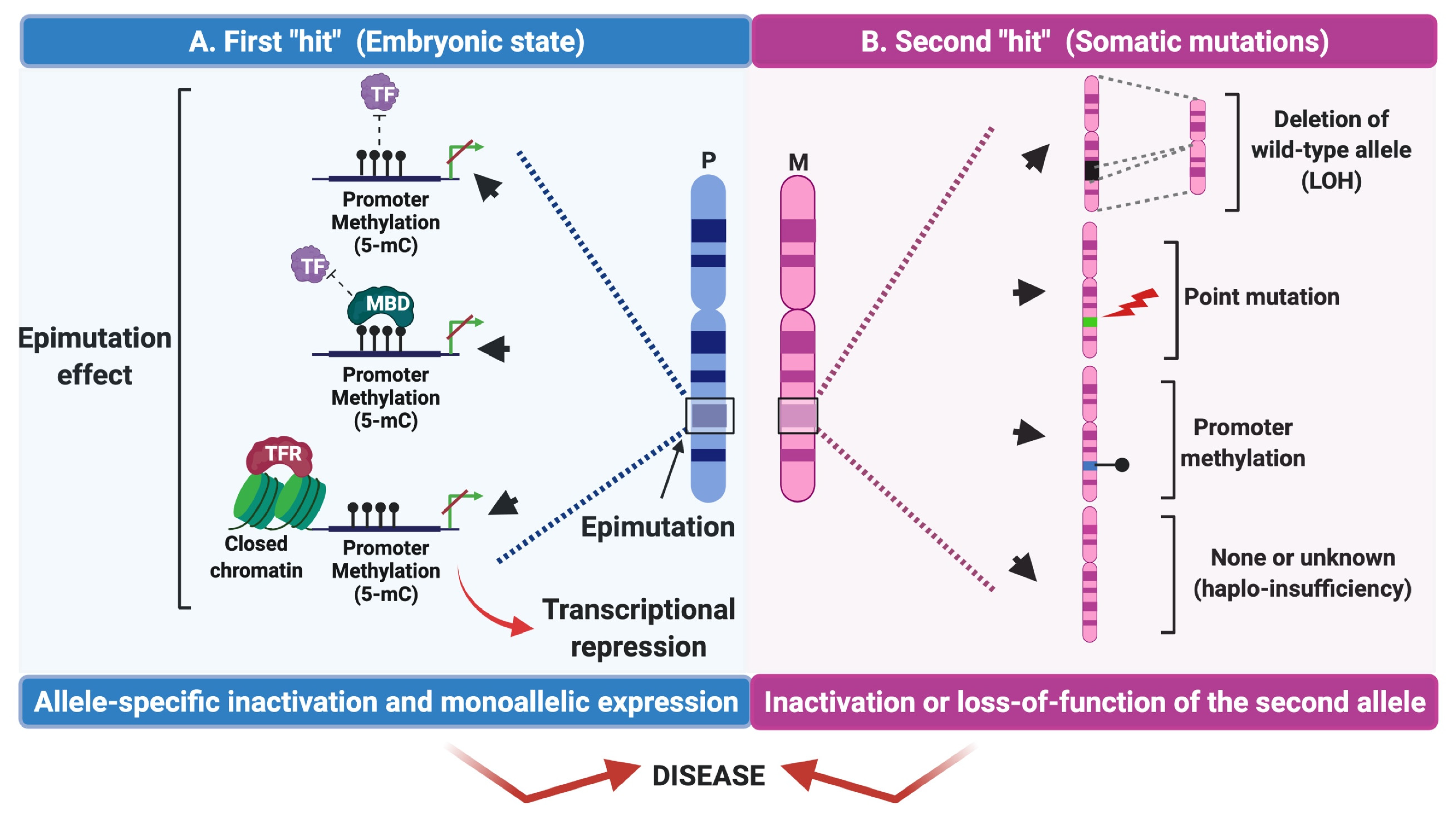 Cancers 13 04807 g003
