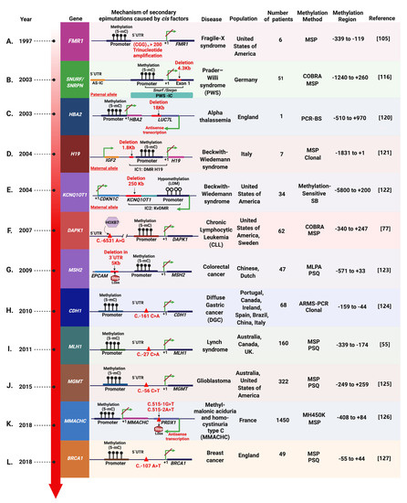 Cancers 13 04807 g005