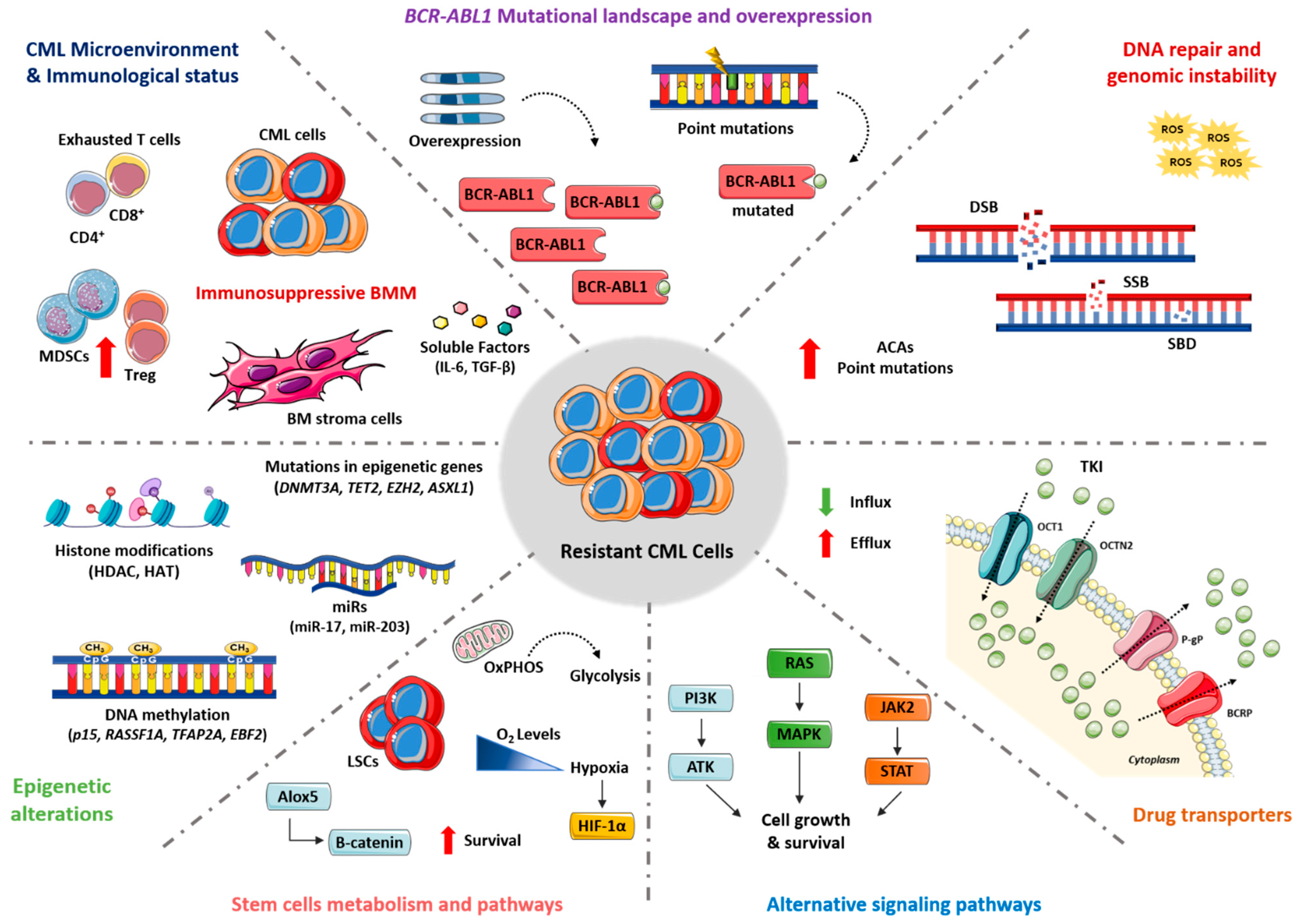 Cancers 13 04820 g001