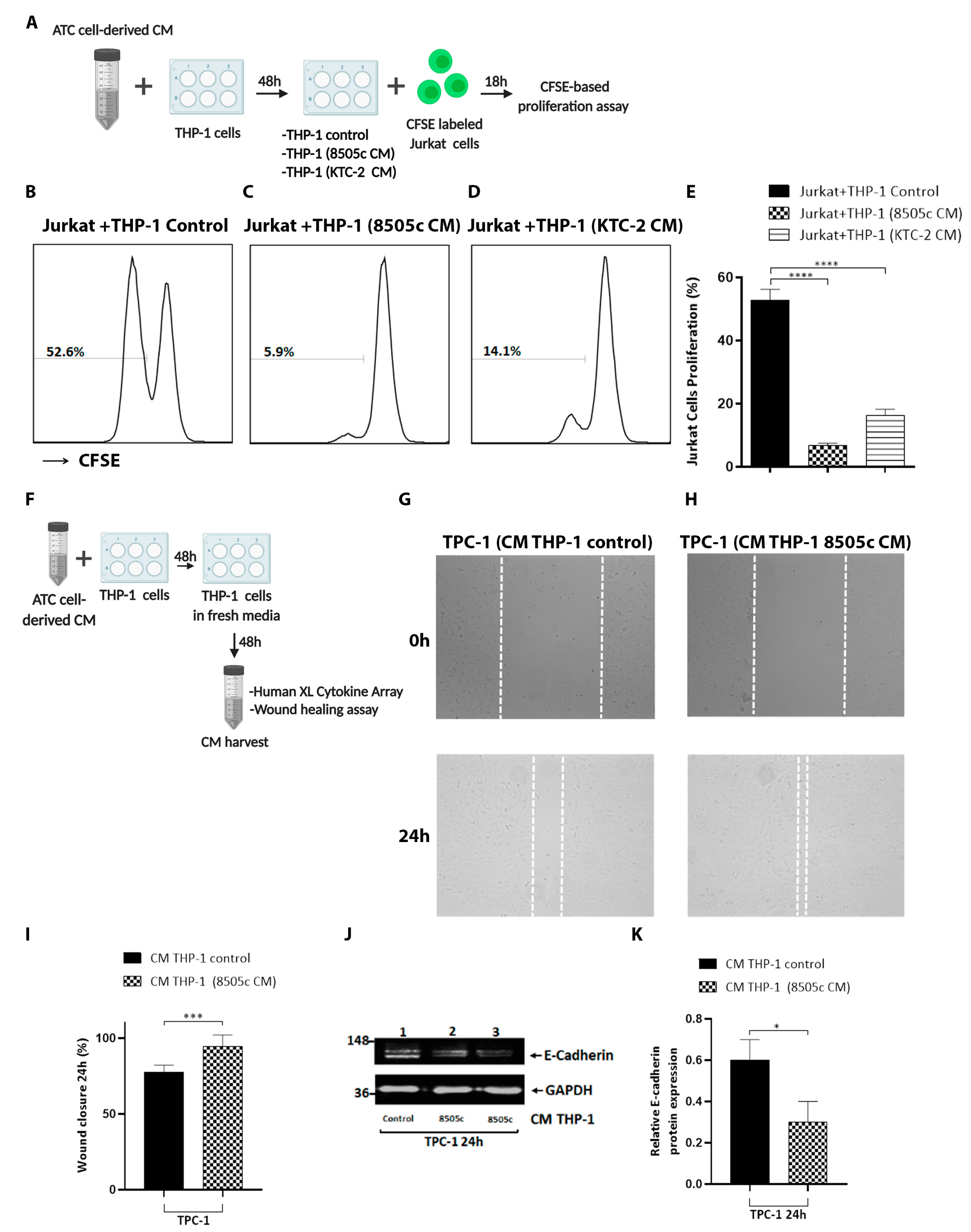 Cancers 13 04821 g003
