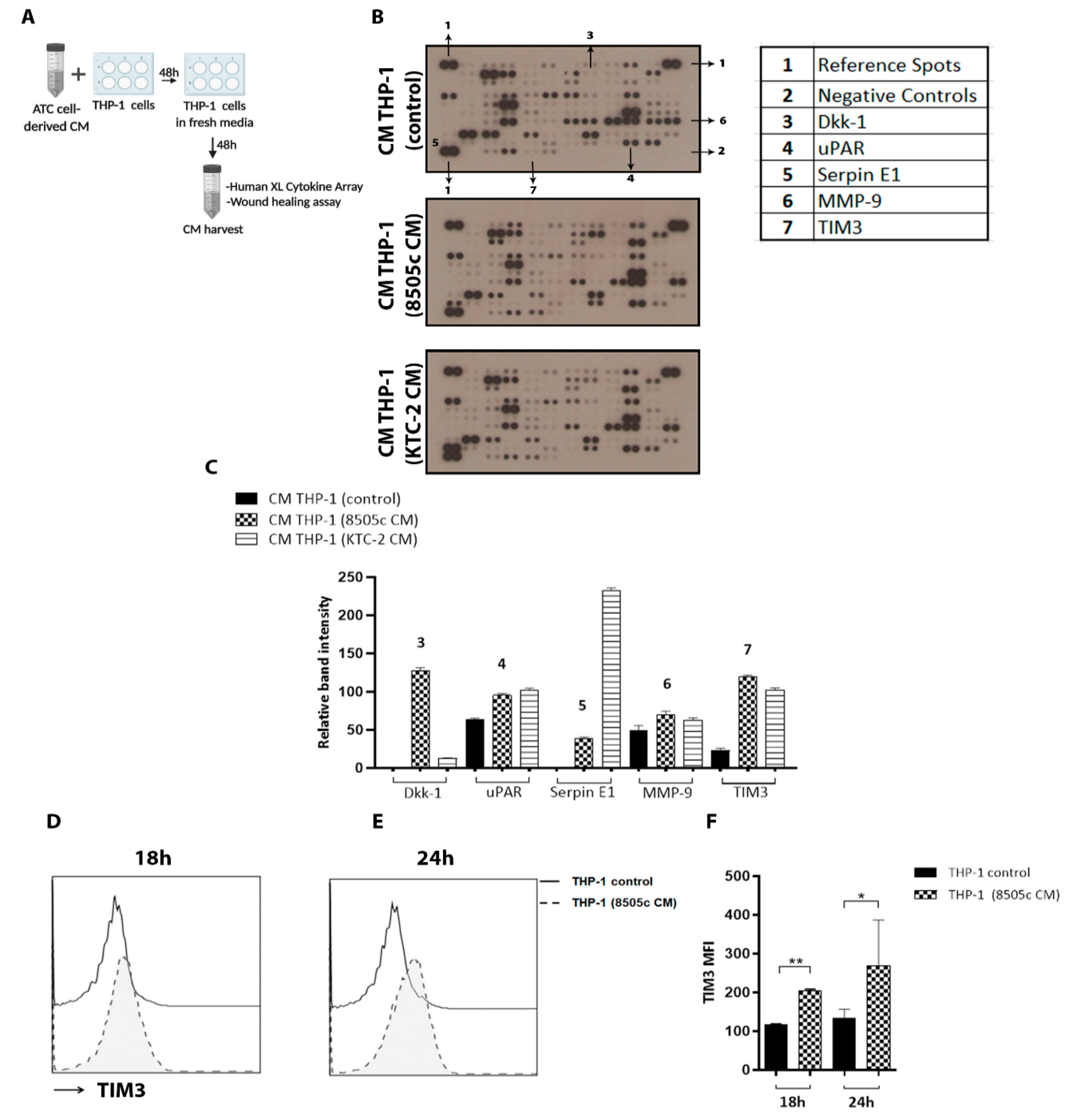 Cancers 13 04821 g004