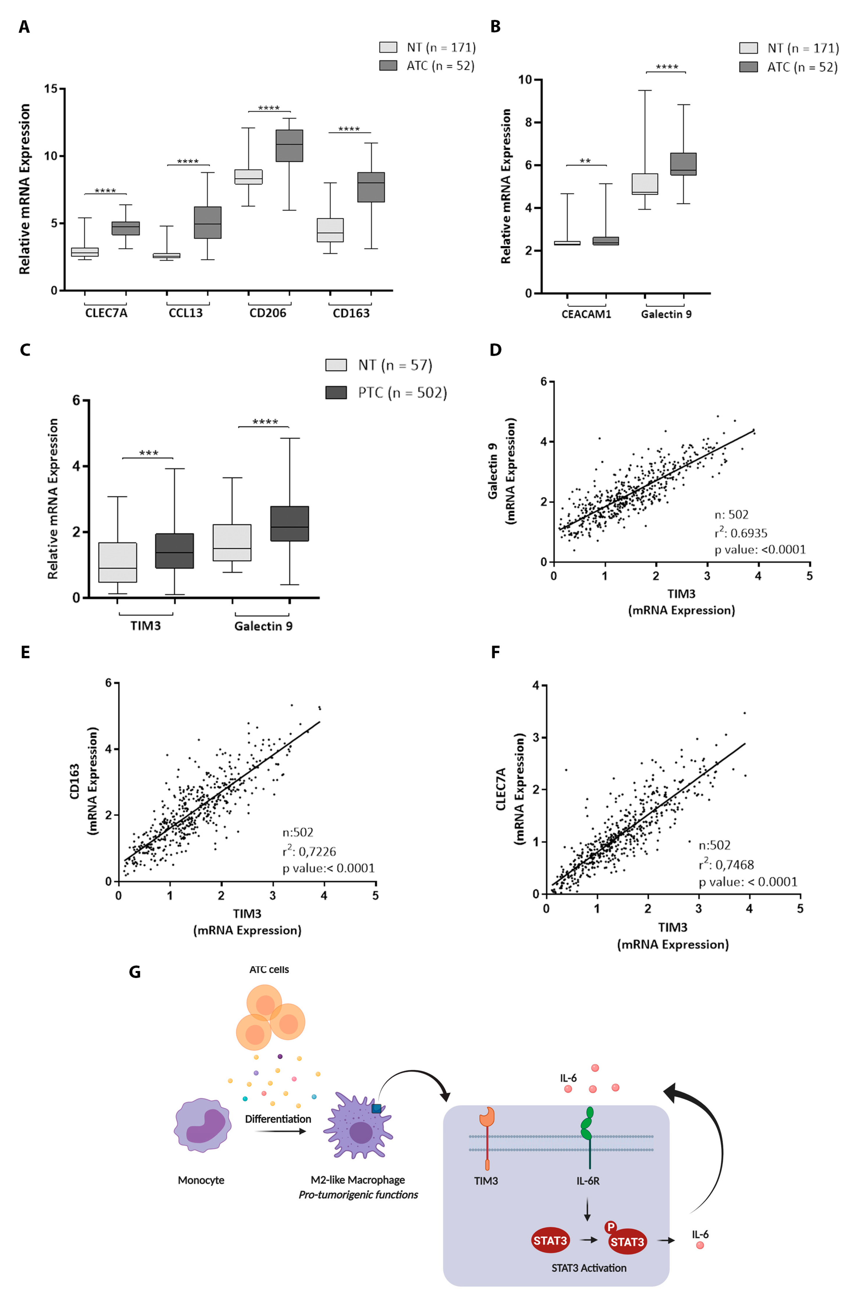 Cancers 13 04821 g006