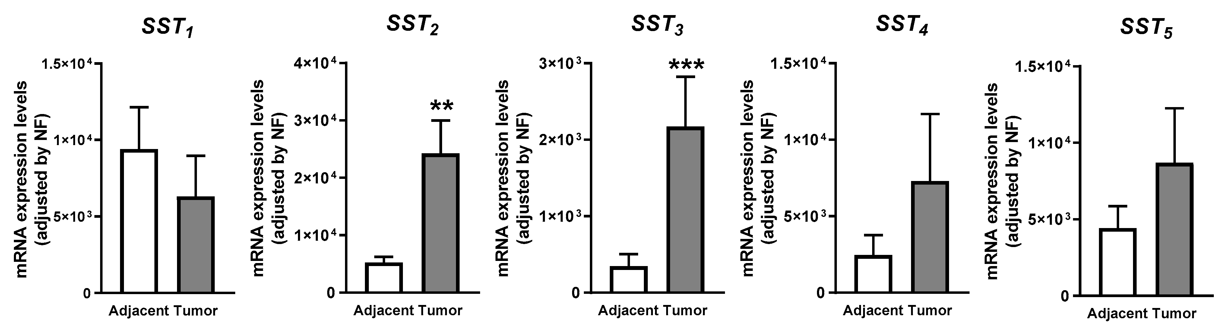 Cancers 13 04828 g001