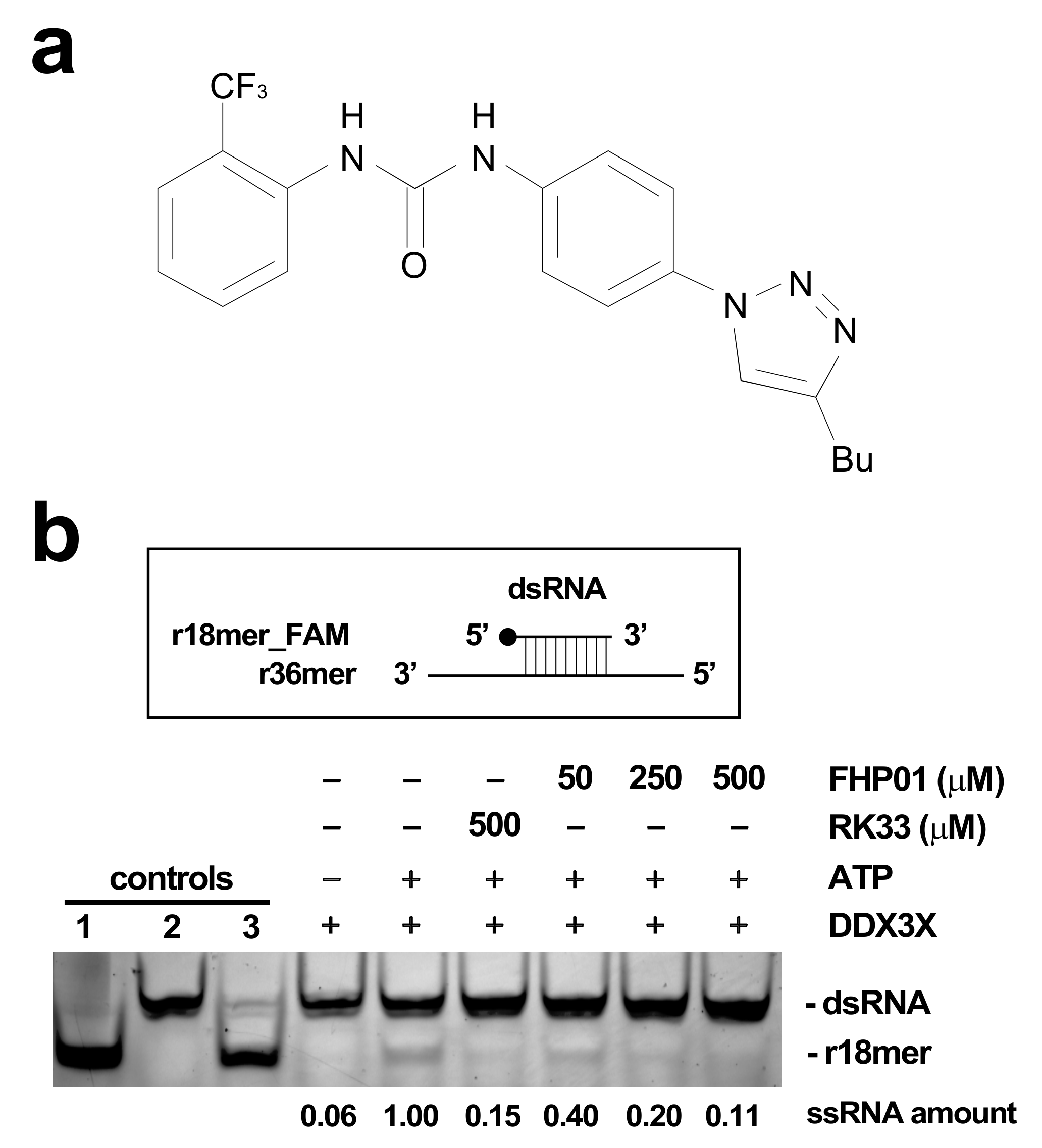Cancers 13 04830 g001