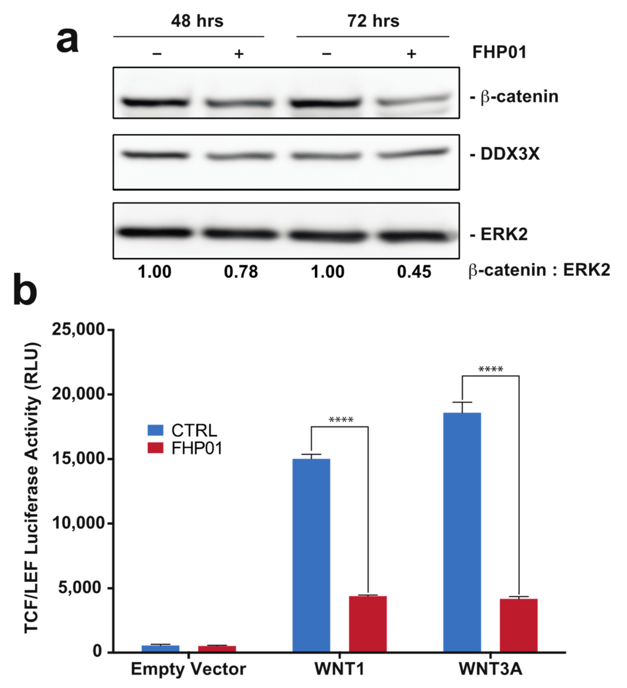 Cancers 13 04830 g003