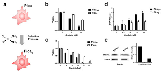 Cancers 13 04831 g005