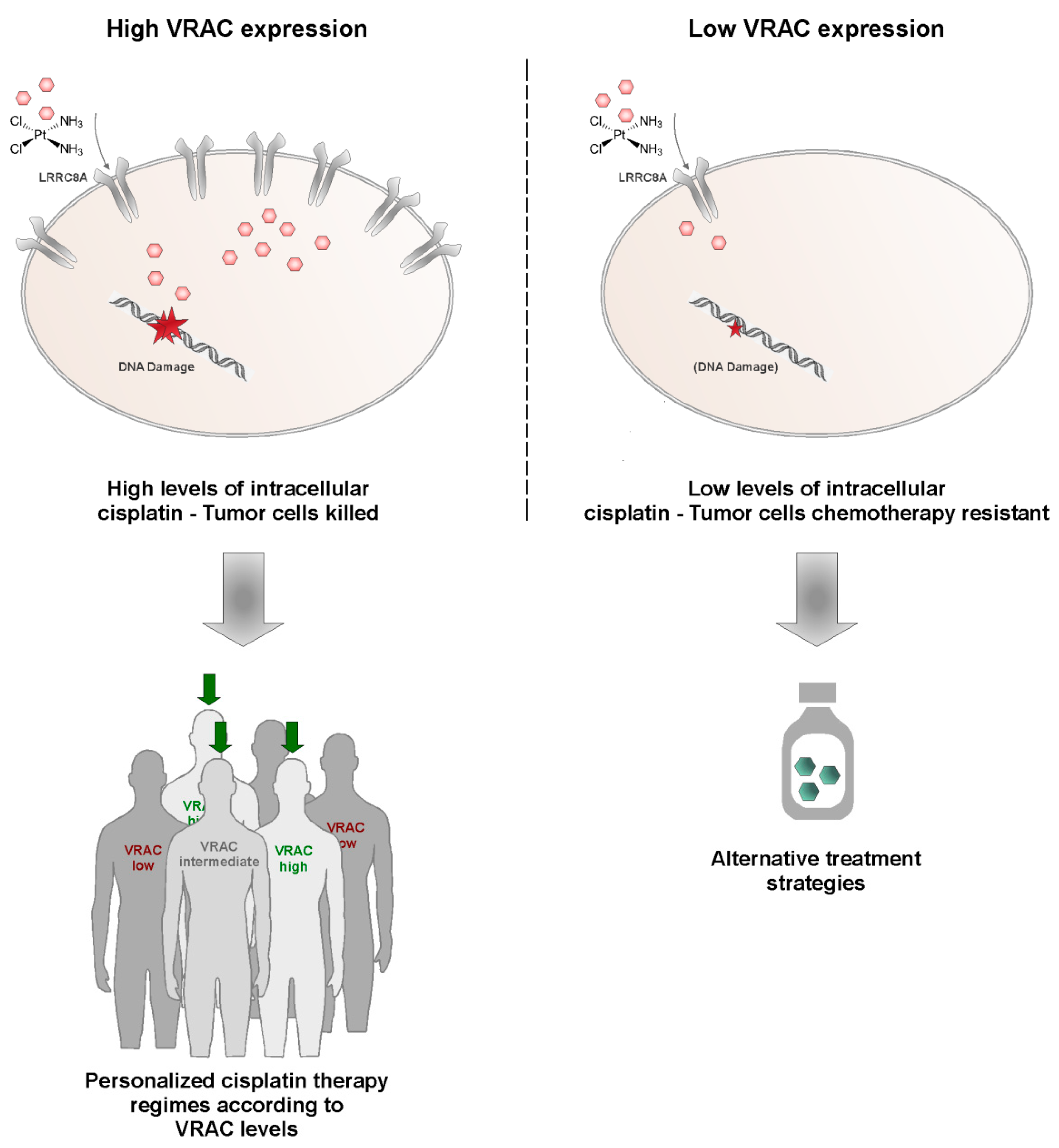 Cancers 13 04831 g006