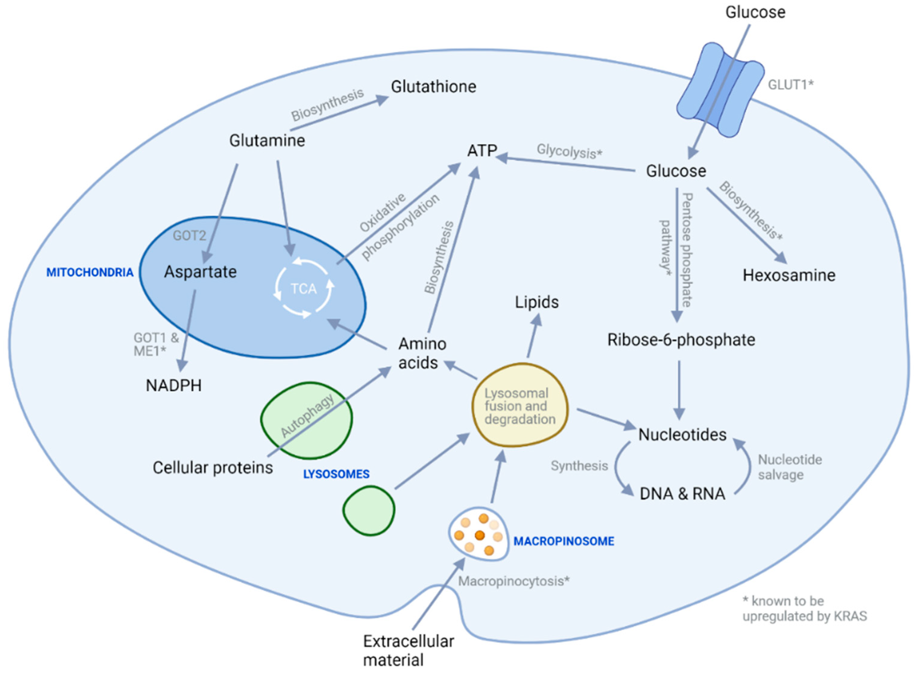Cancers 13 04834 g001