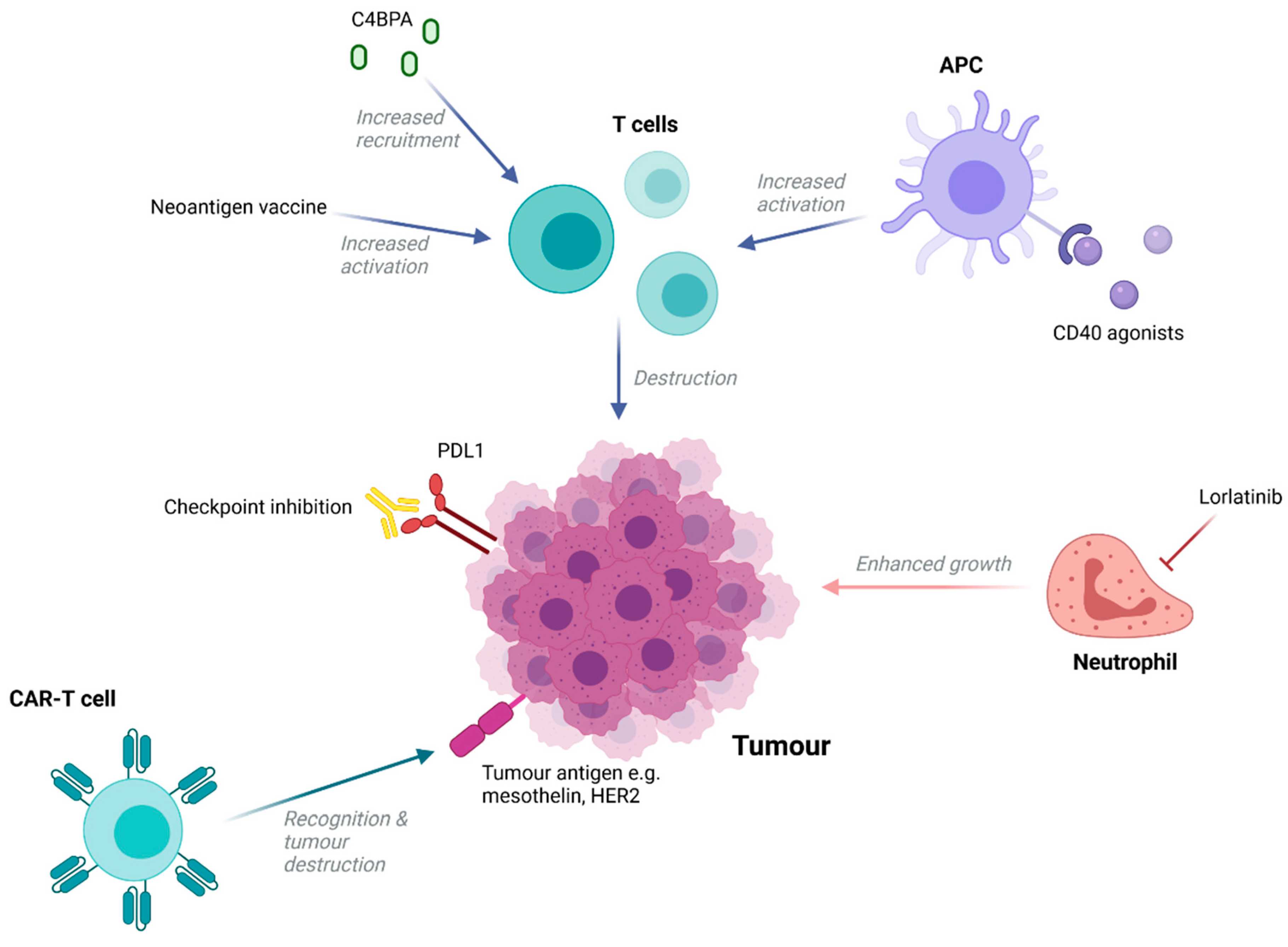 Cancers 13 04834 g003