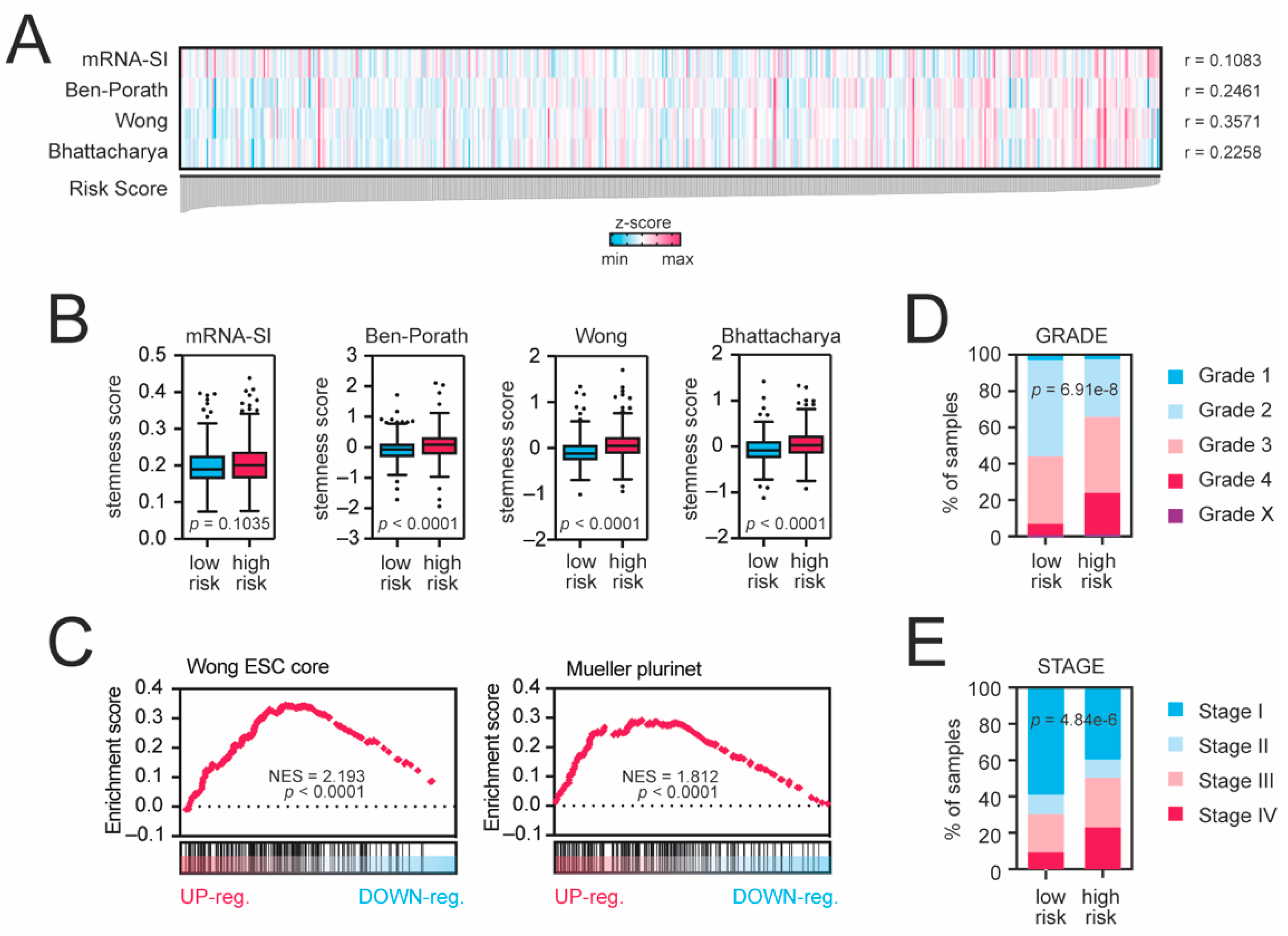 Cancers 13 04835 g004