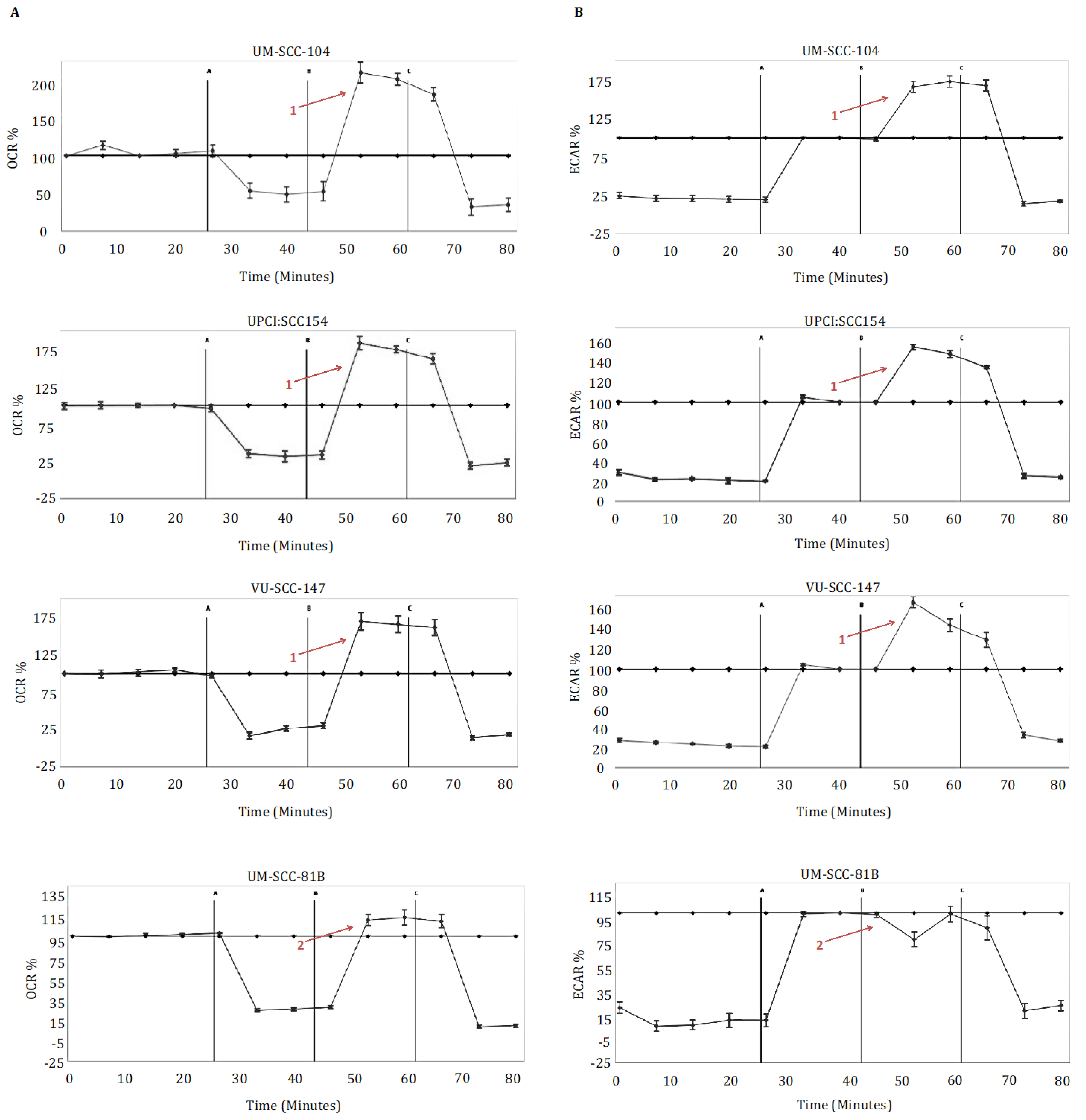 Cancers 13 04836 g001