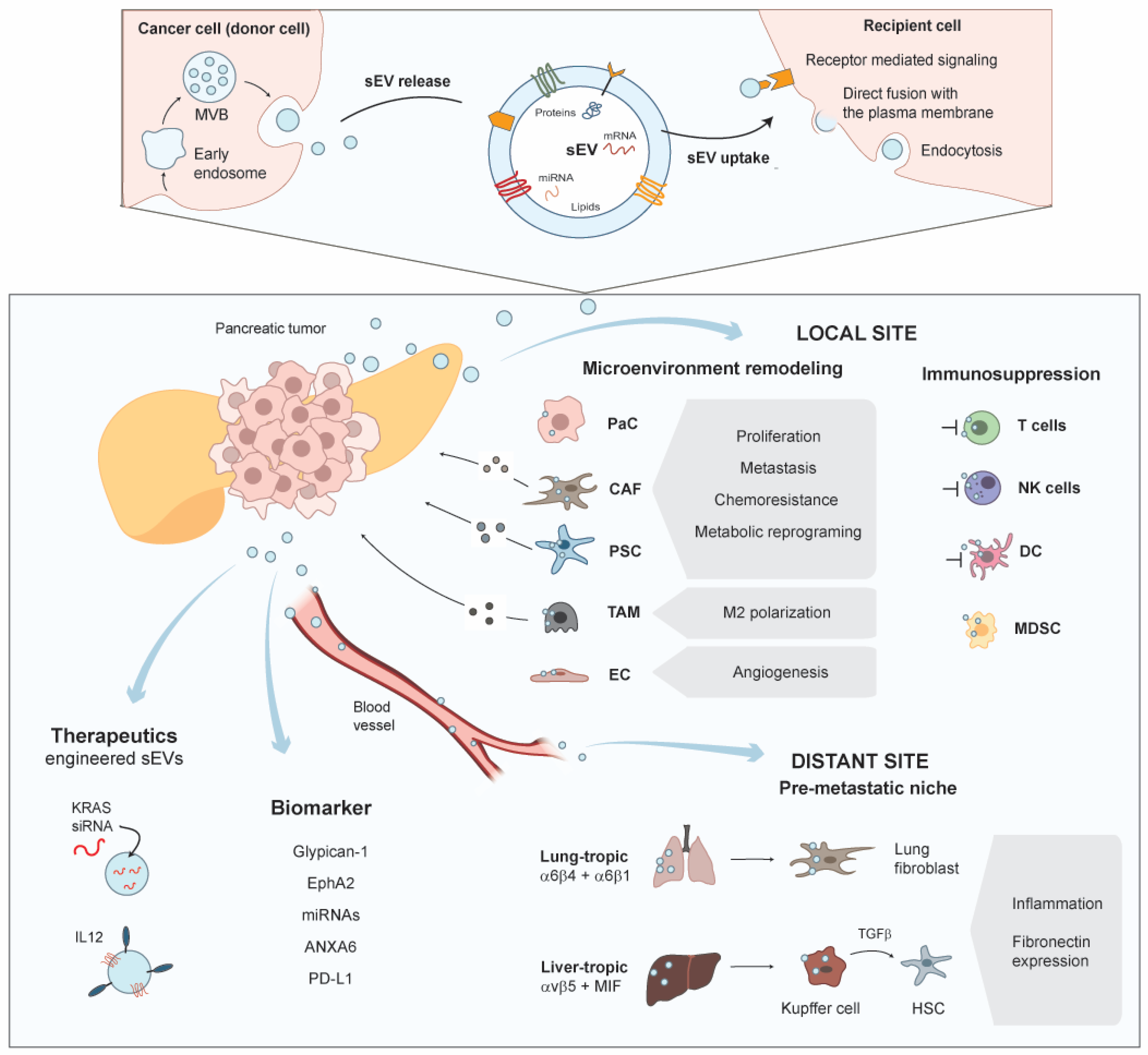 Cancers 13 04844 g001