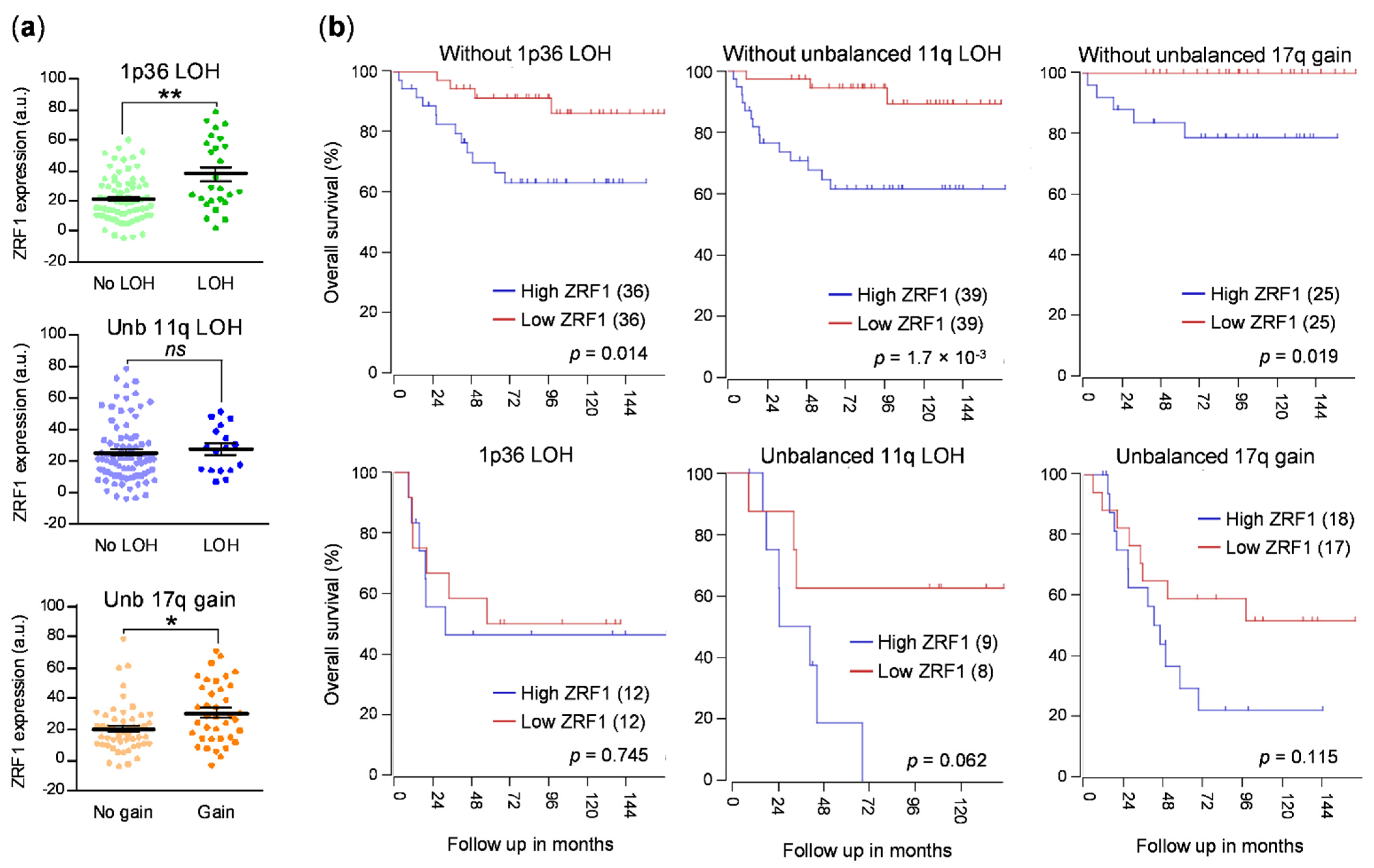 Cancers 13 04845 g002