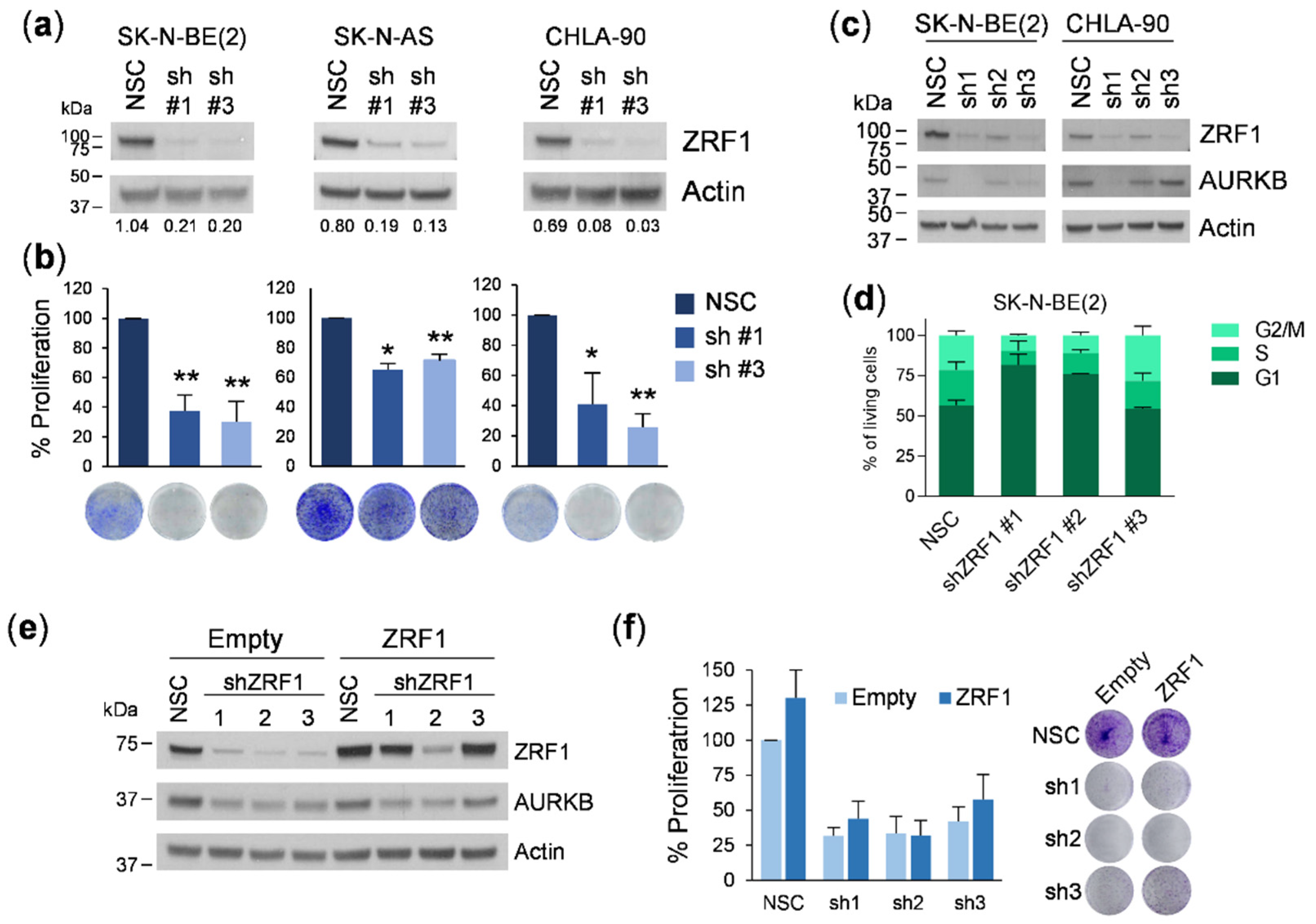 Cancers 13 04845 g005