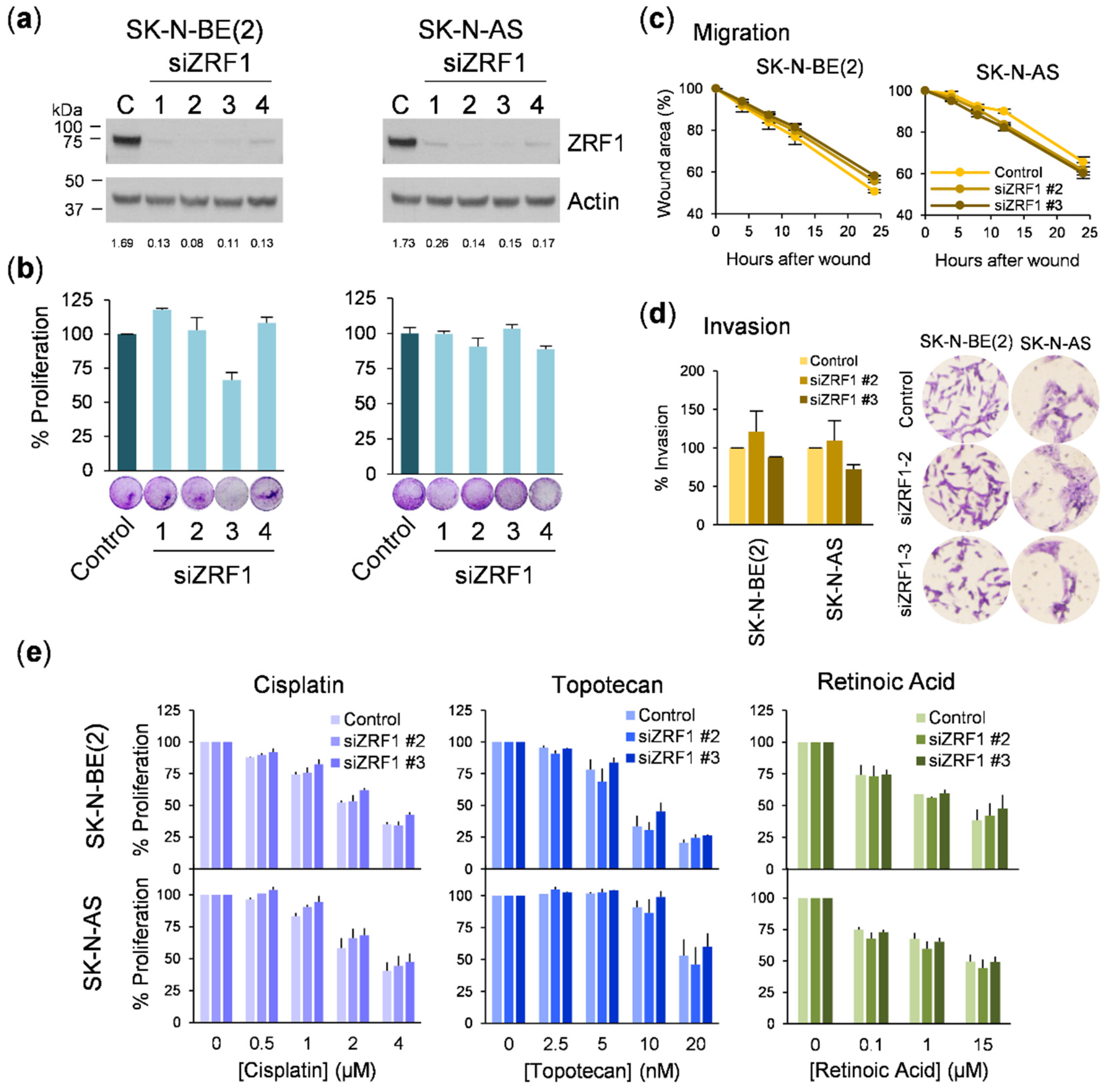 Cancers 13 04845 g006