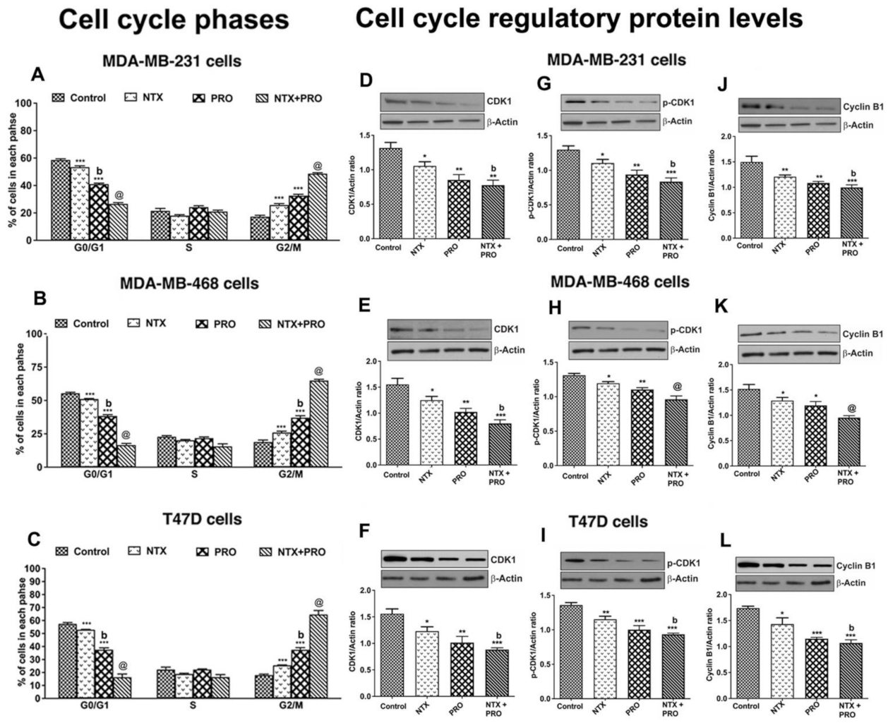 Cancers 13 04858 g004 Cancers 13 04858 g004